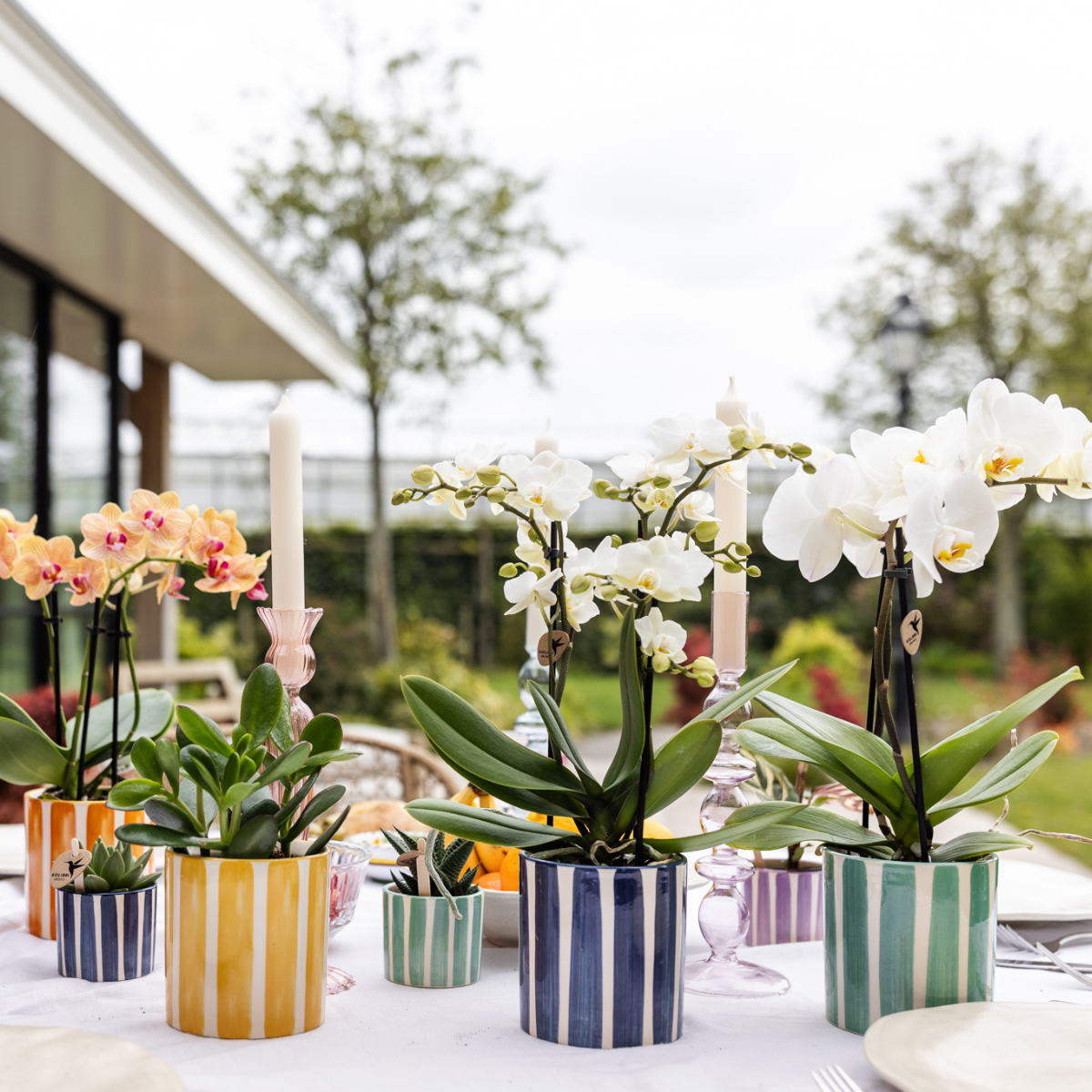 Kolibri Home | Blumentopf – Blau – Ø9cm