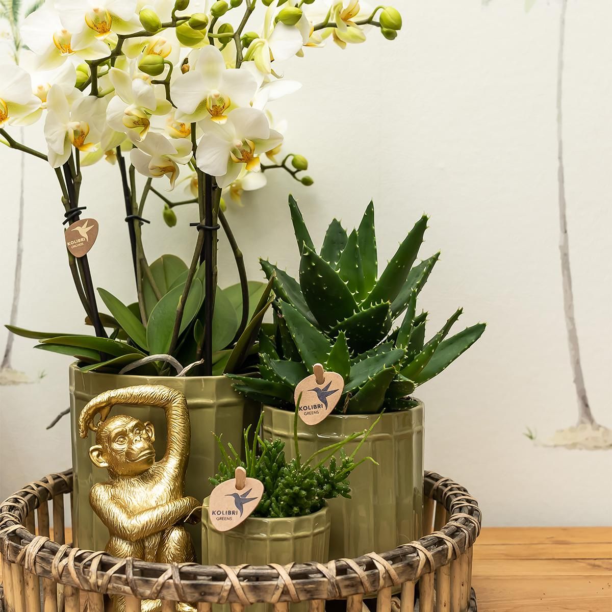 Dekofigur Sitzender Affe Gold aus Polystone