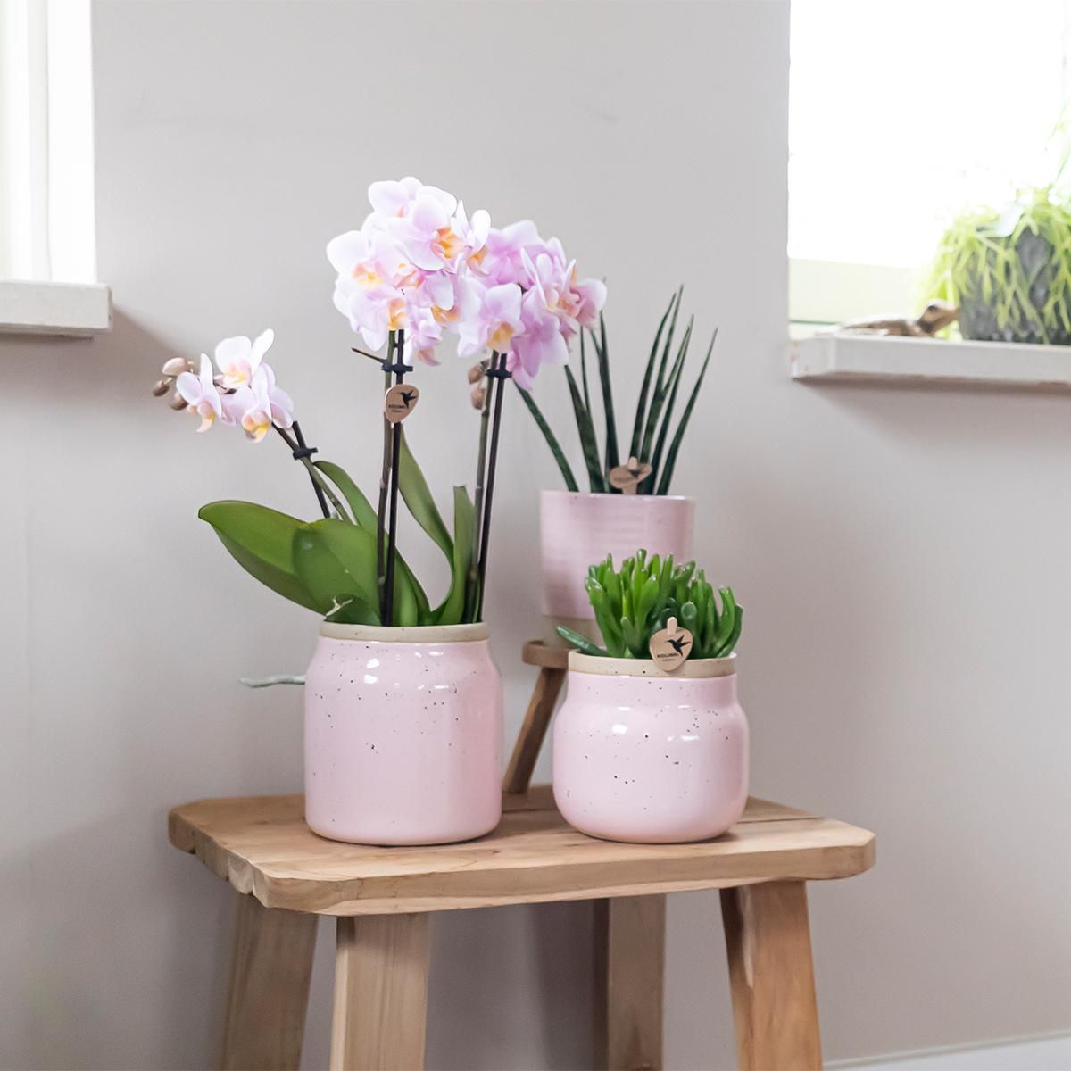 Vintage Blumentopf aus Keramik in Rosa