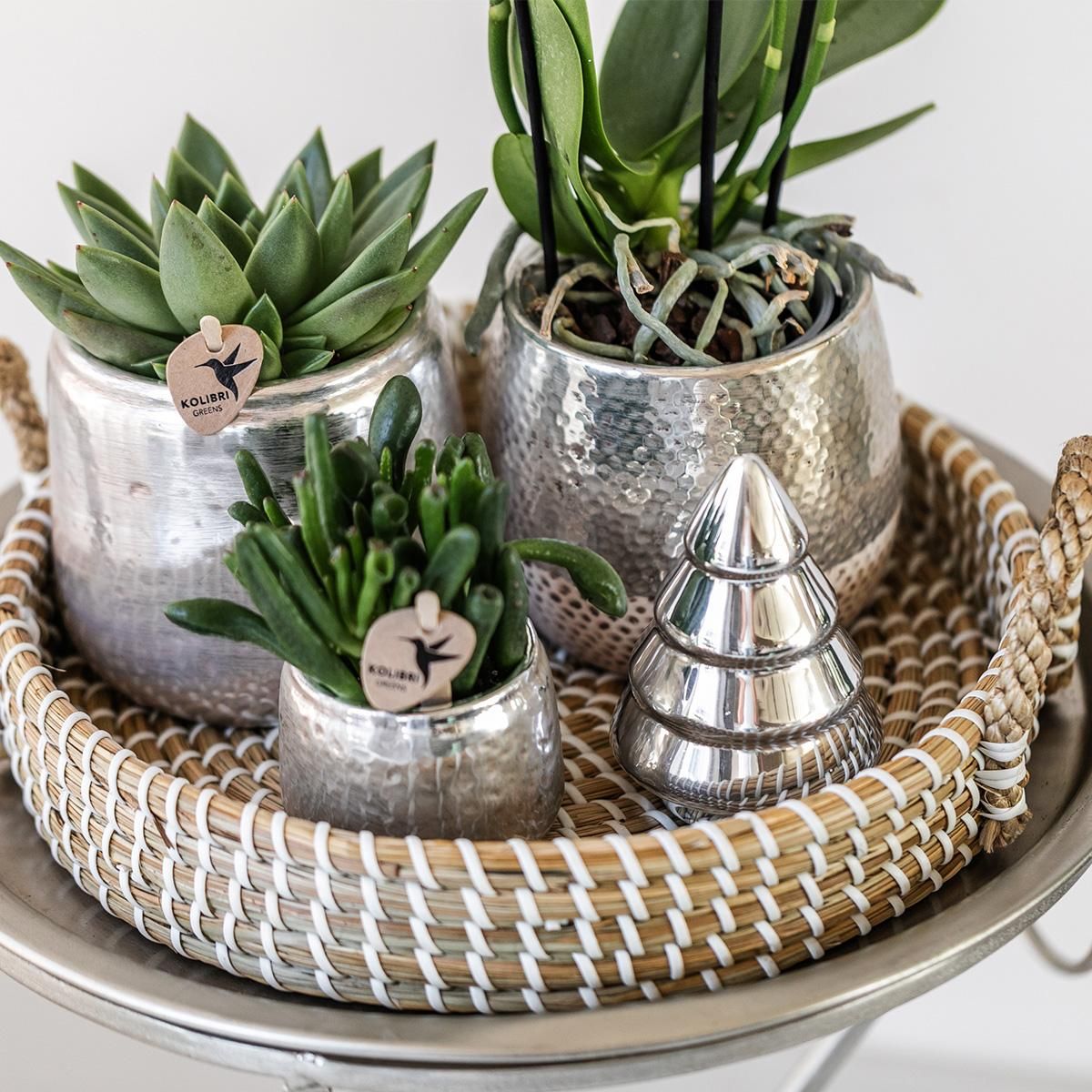 Keramik Blumentopf Elite Silber