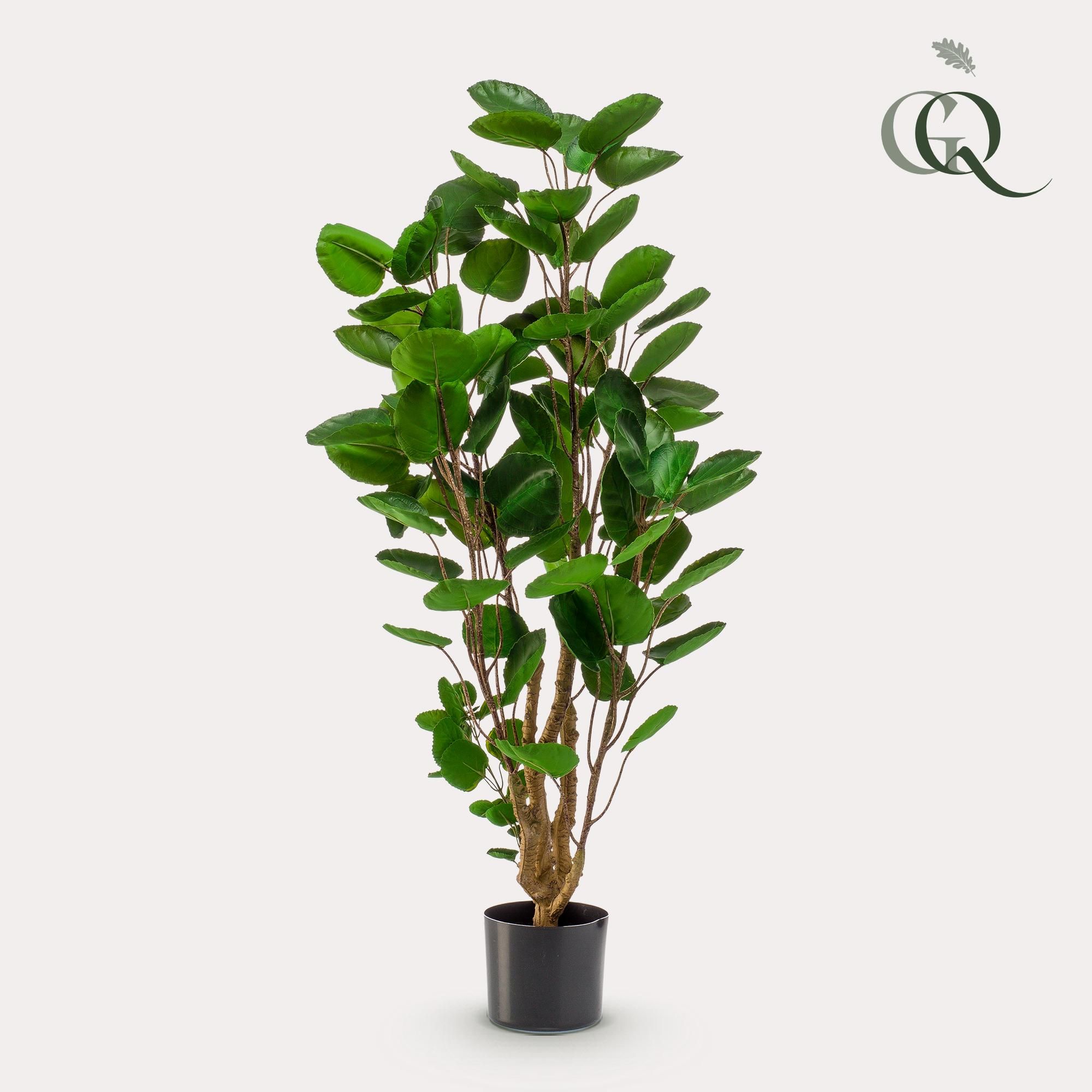 Kunstpflanze Polyscias Aralia 105 cm