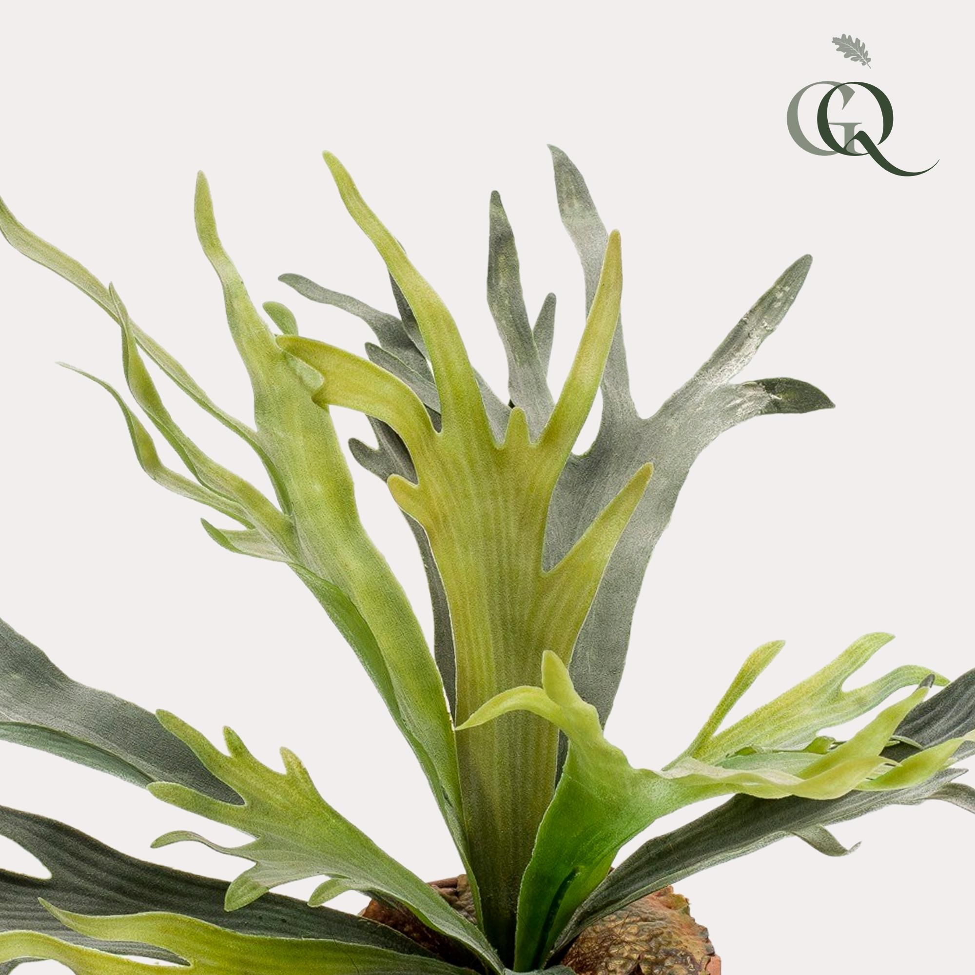 Kunstpflanze Staghorn Farn Geweihfarn