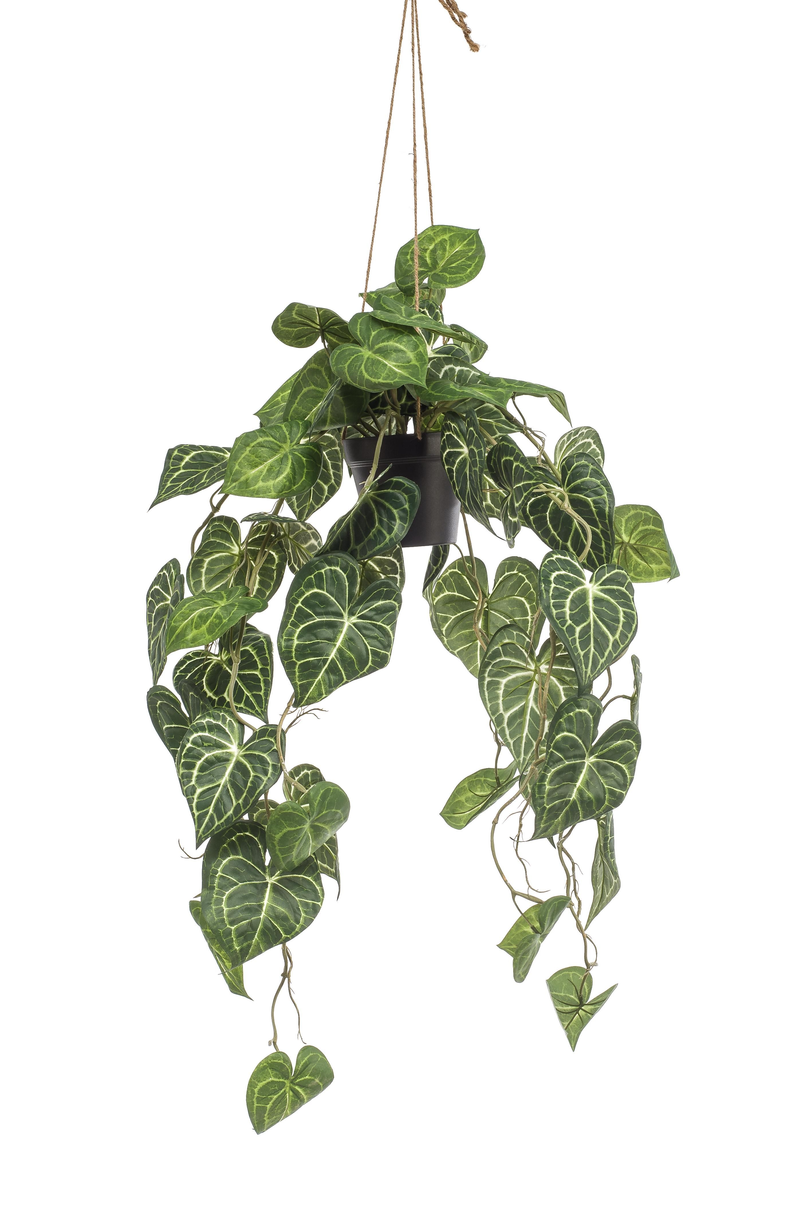 Kunstpflanze Anthurium Clarinervium in Hängekorb