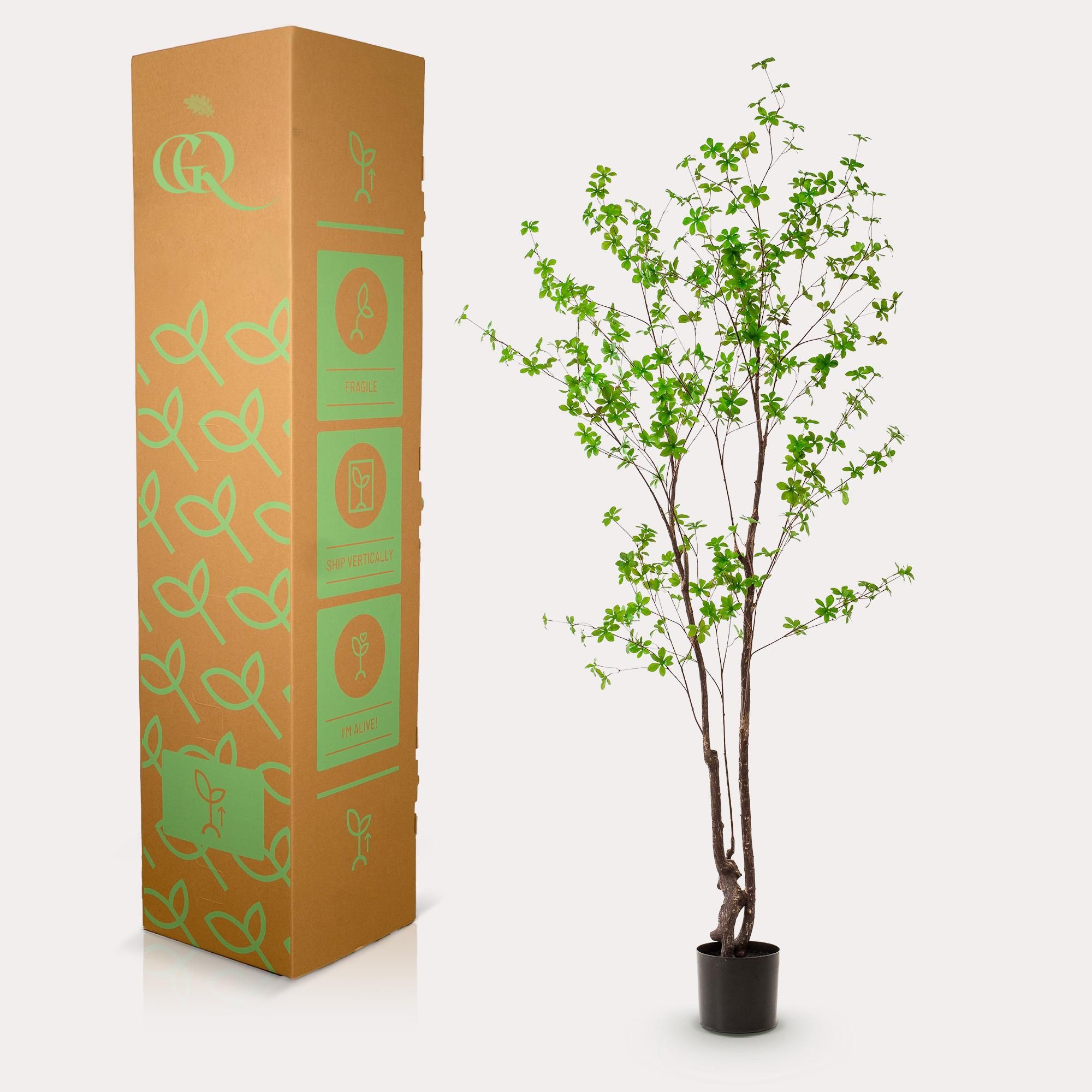 Kunstpflanze Ostindische Kirsche 210cm | Kunstblume hängend wie echt
