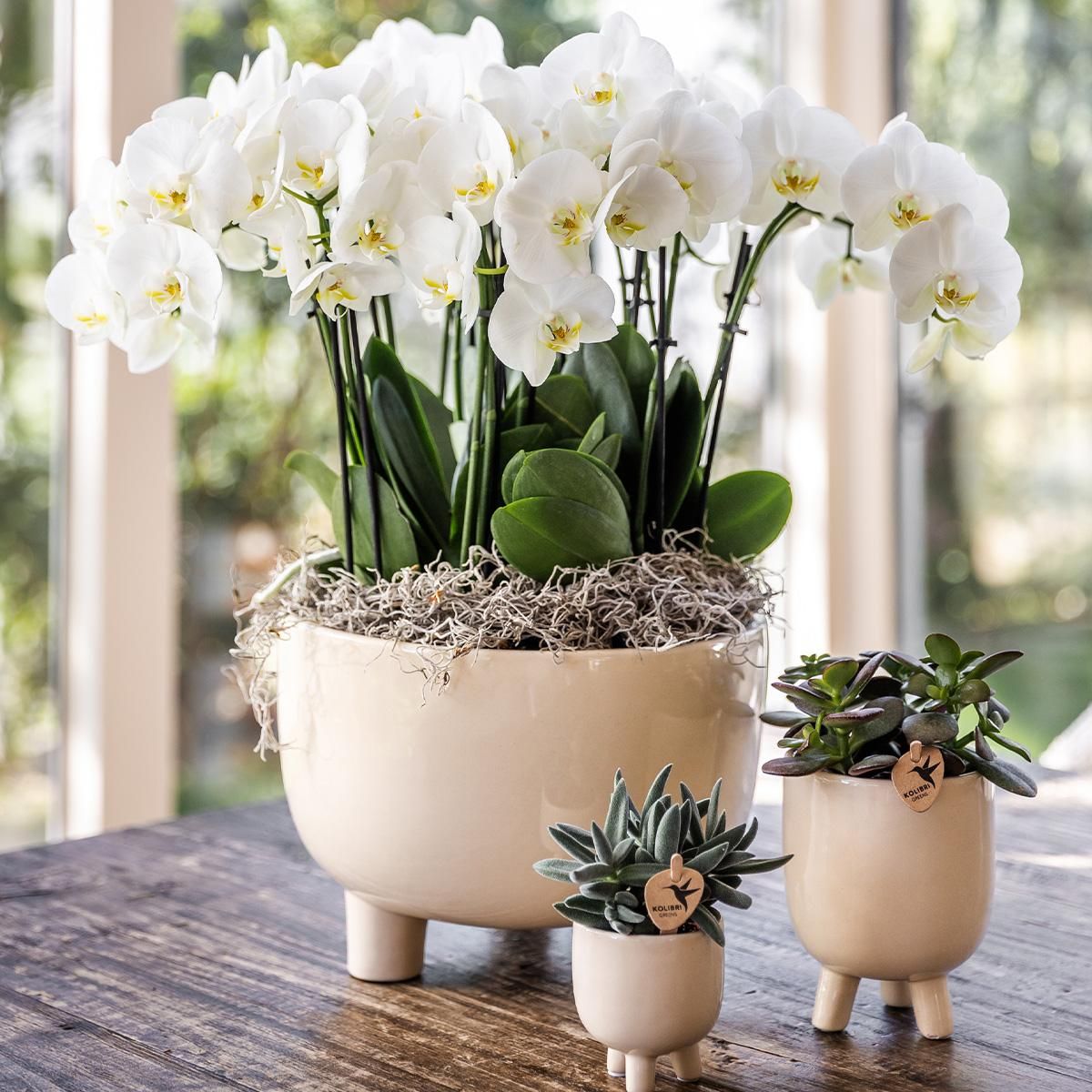 Keramik Blumentopf Gummy Travertin