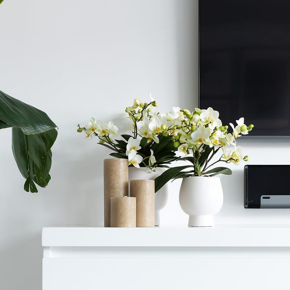 Scandic weißer Keramik Blumentopf