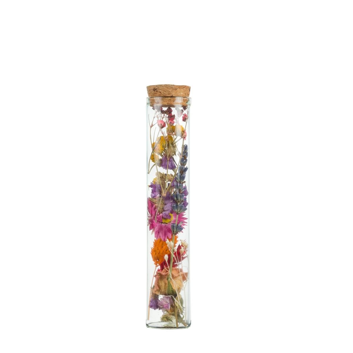 Trockenblumen Wish Bottle Medium Multi – 6 Stück – ca. 15cm Hoch