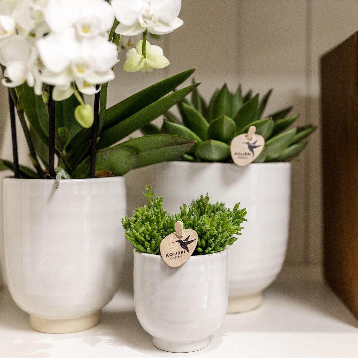 Glänzender Keramik Blumentopf Weiß Ø12cm