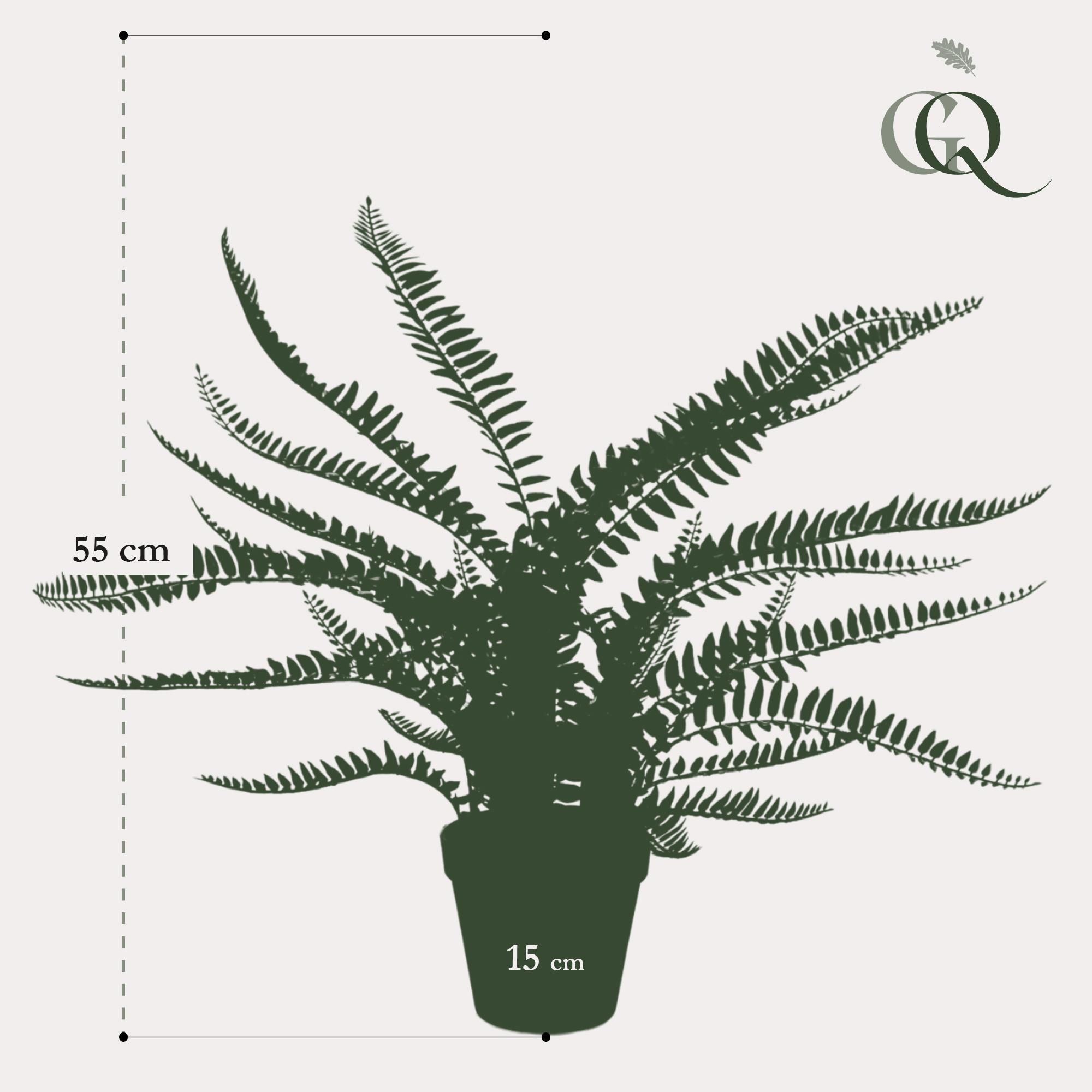 Kunstpflanze Nephrolepis Exaltata Boston Farn