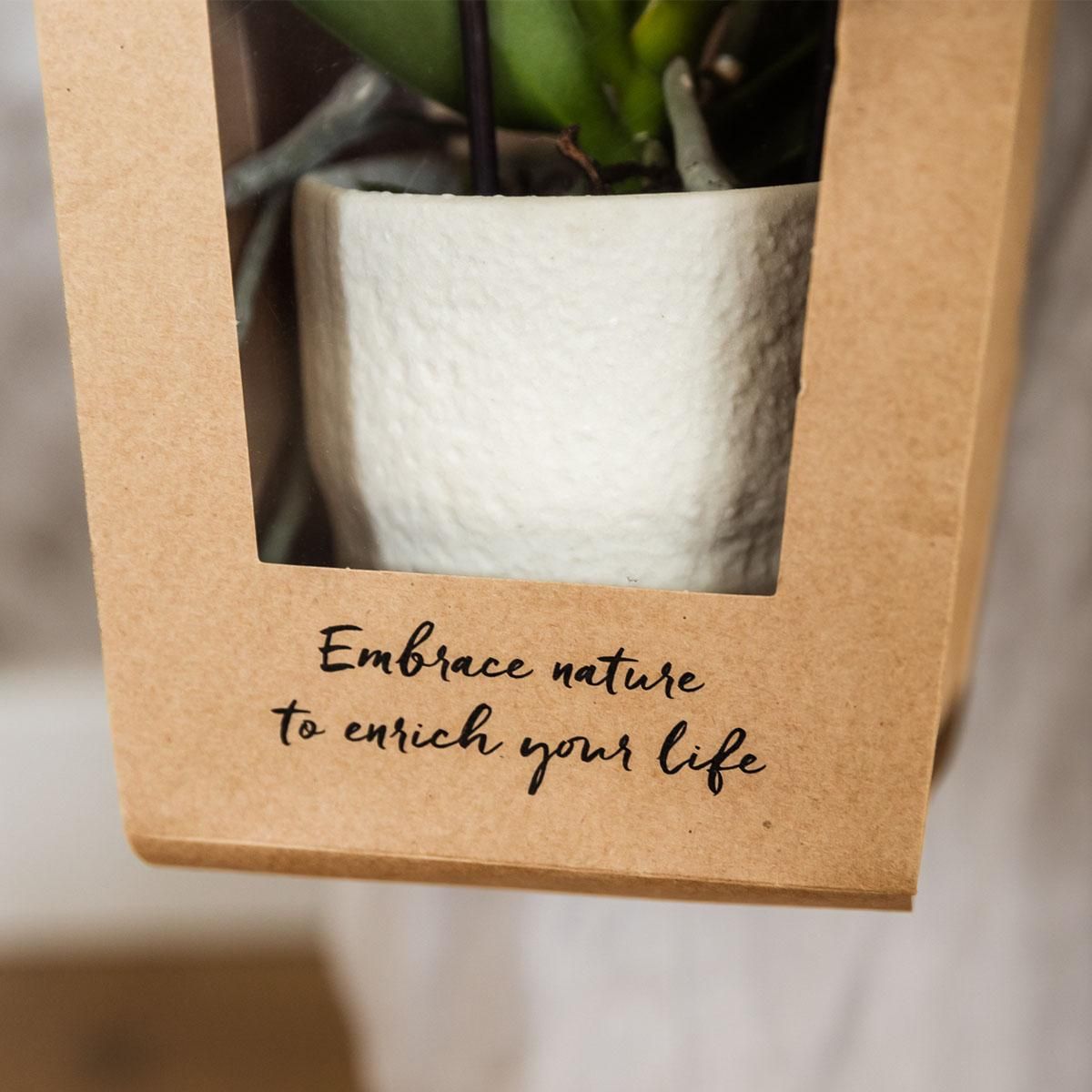 Geschenktasche für Orchidee – Mit dekorativem Topf 9cm