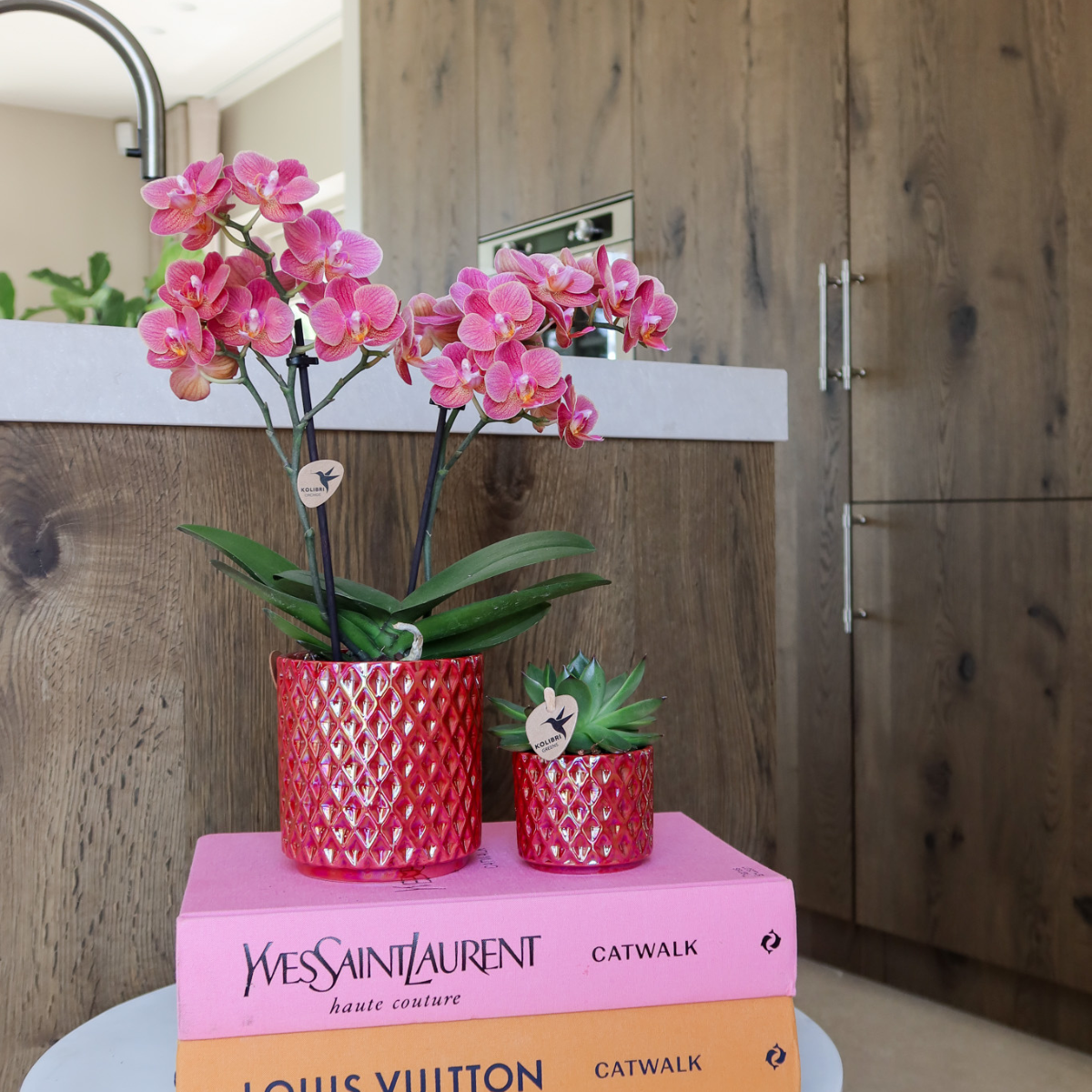 Rote Phalaenopsis Orchidee Congo | Im roten Pearl Topf Ø9cm | Blühende Zimmerpflanze