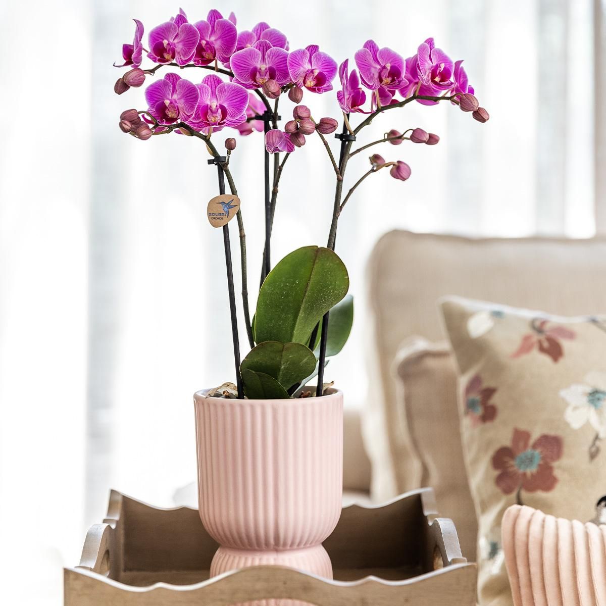Diabolo Dekotopf Pink