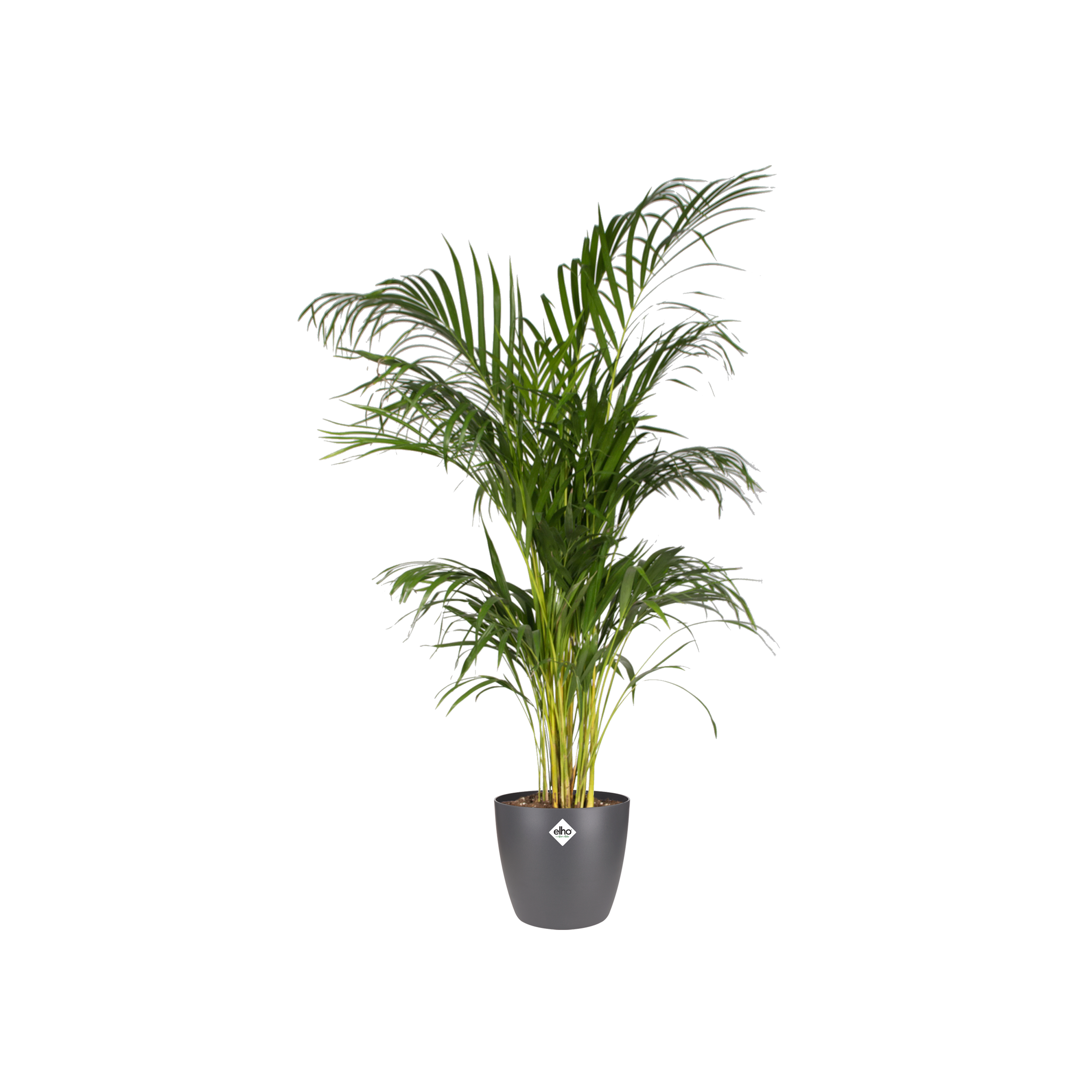 Anthrazit runder Blumentopf