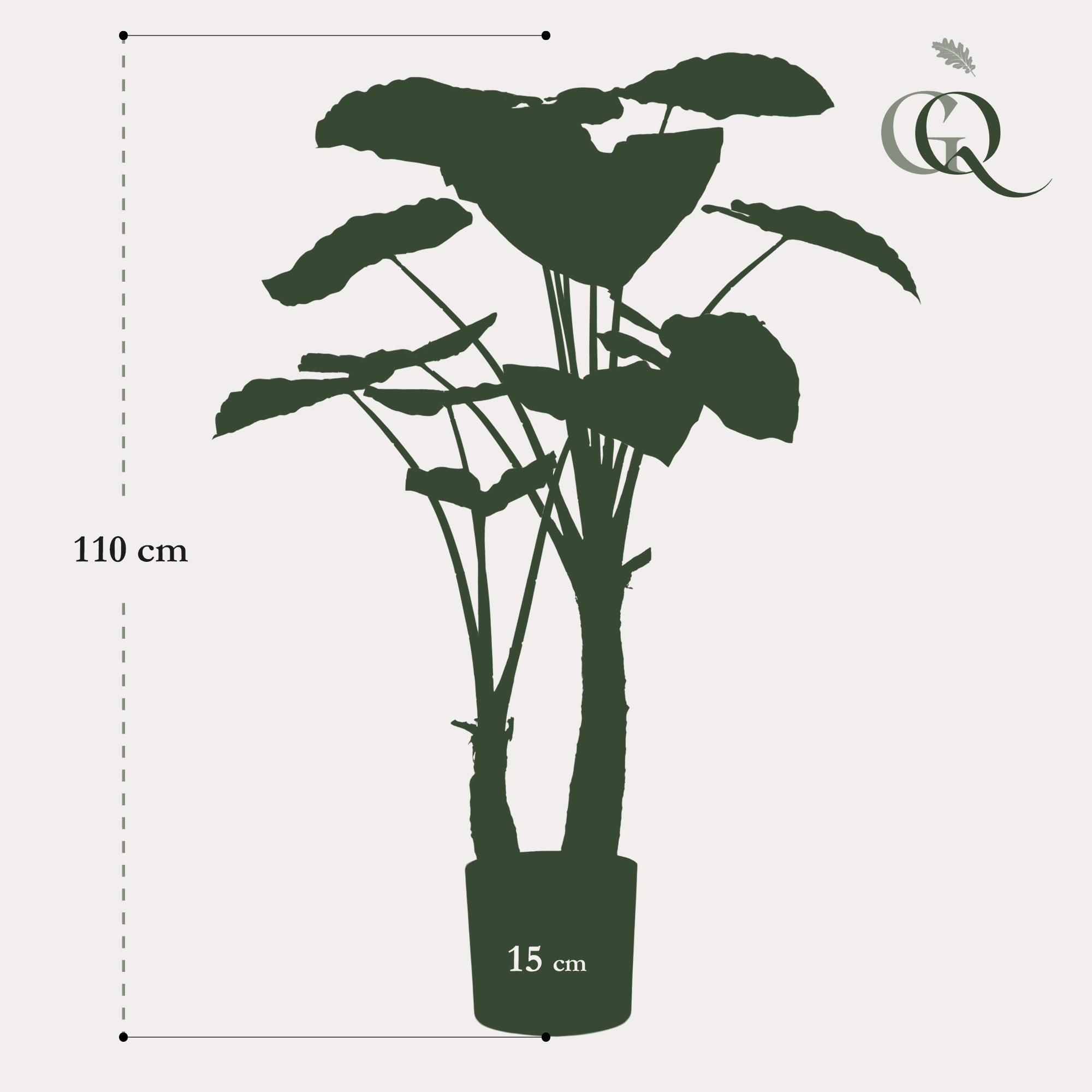 Kunstpflanze Alocasia – Olifantsoor – 110 cm