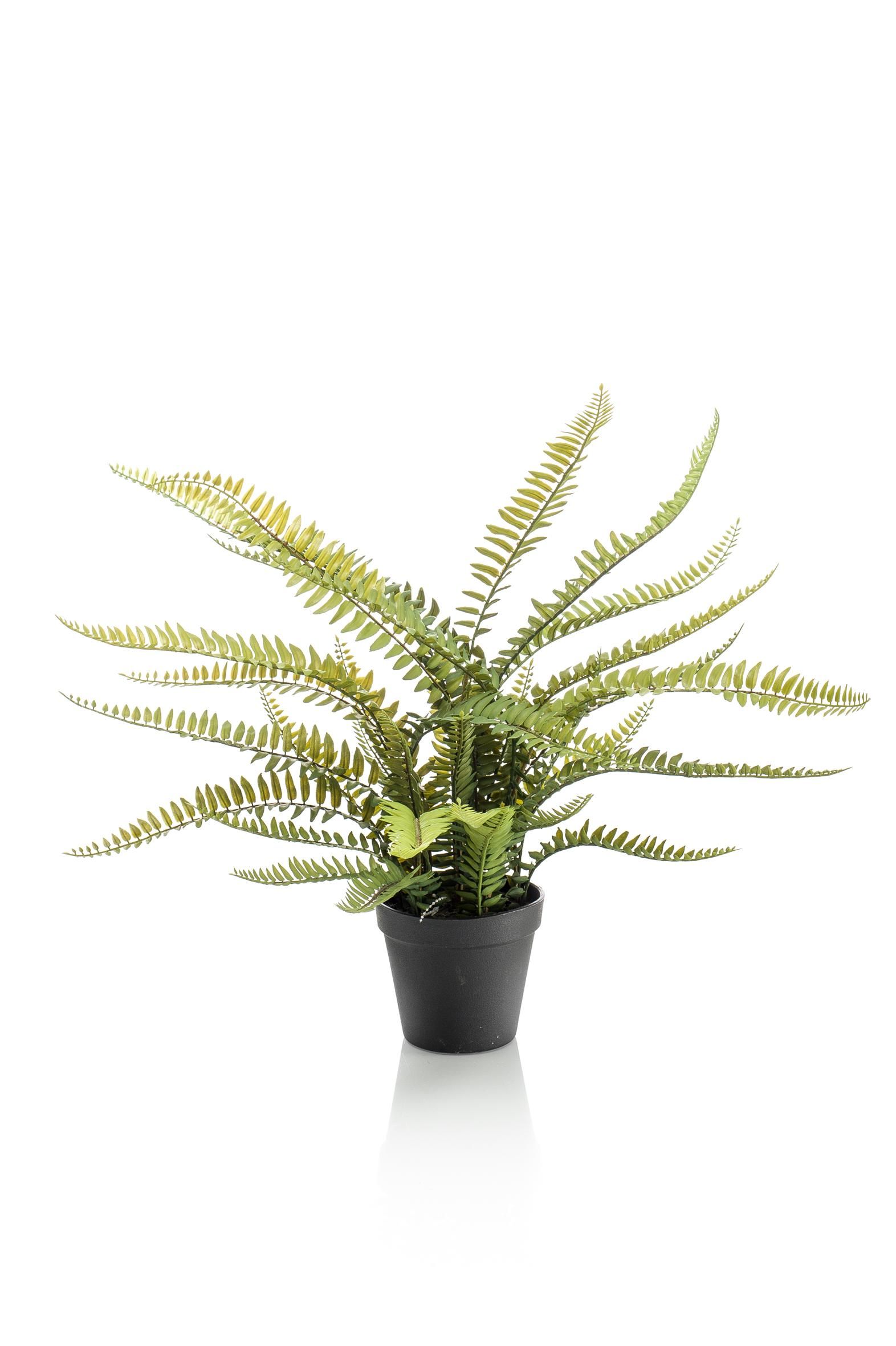Kunstpflanze Nephrolepis Exaltata Boston Farn