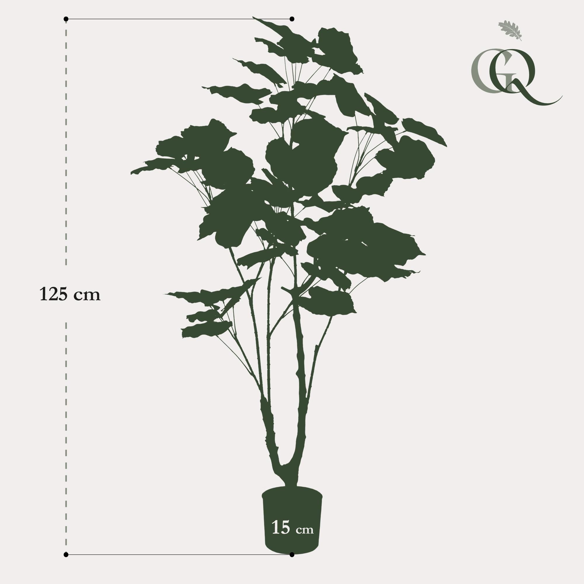 Kunstpflanze Afrikanische Feige Ficus Umbellata 125cm