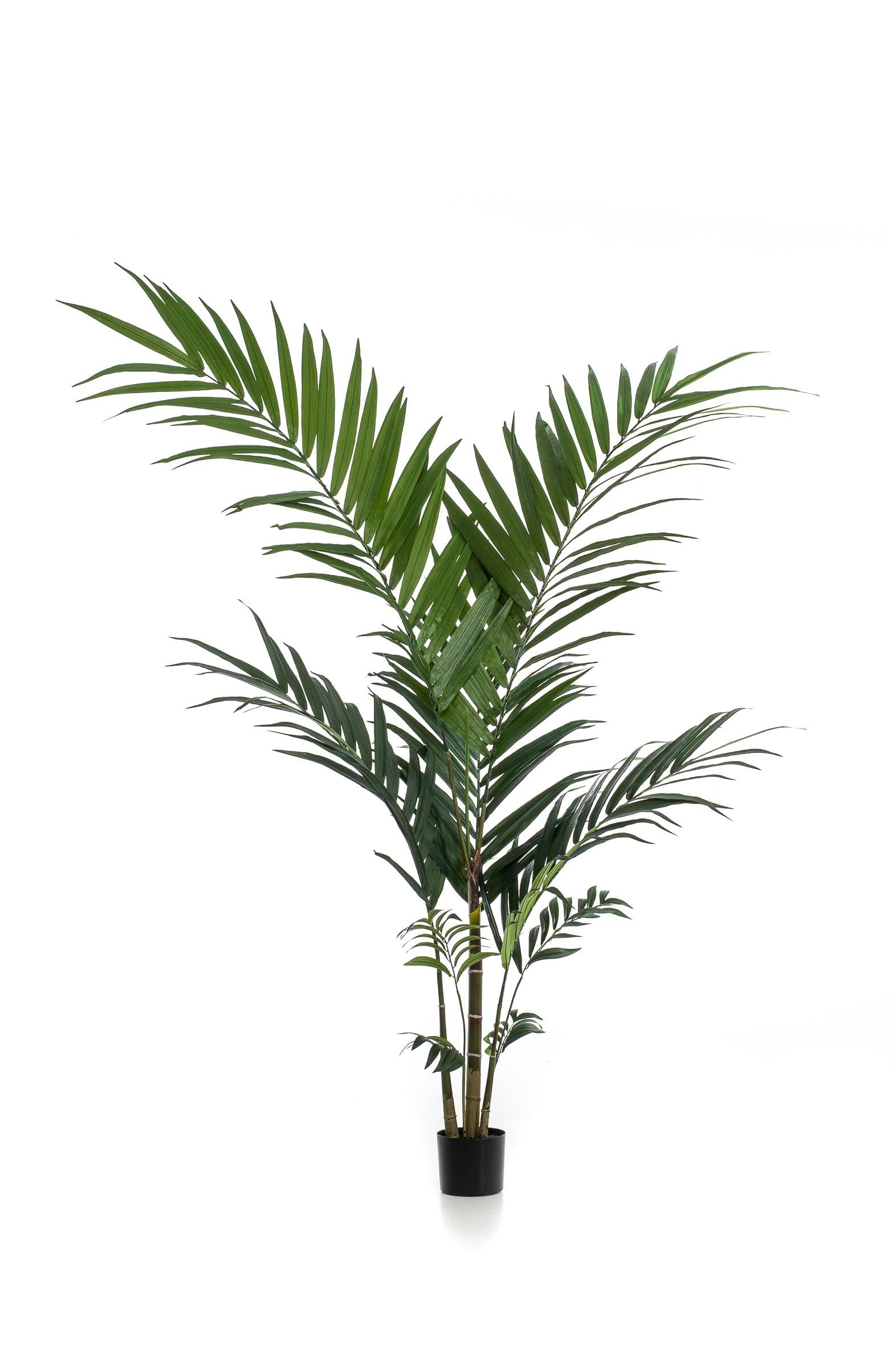 Künstliche Kentiapalme Tropical 150cm