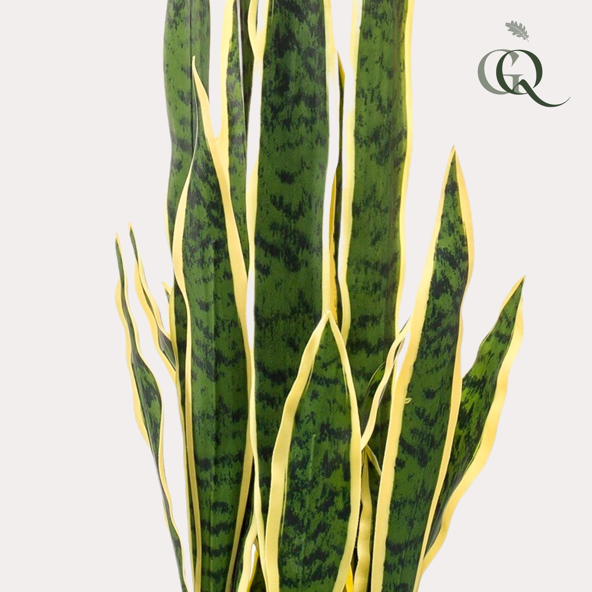 Kunstpflanze Sanseveria Trifasciata Frauenzunge