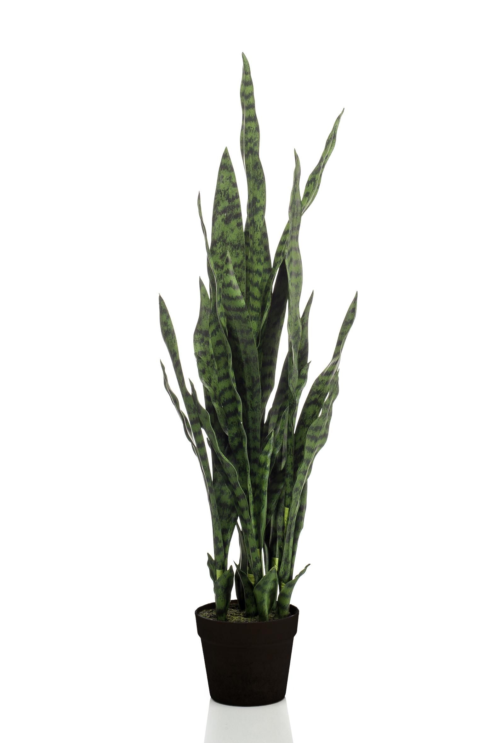 Kunstpflanze Sansevieria Black Coral Vrouwentong