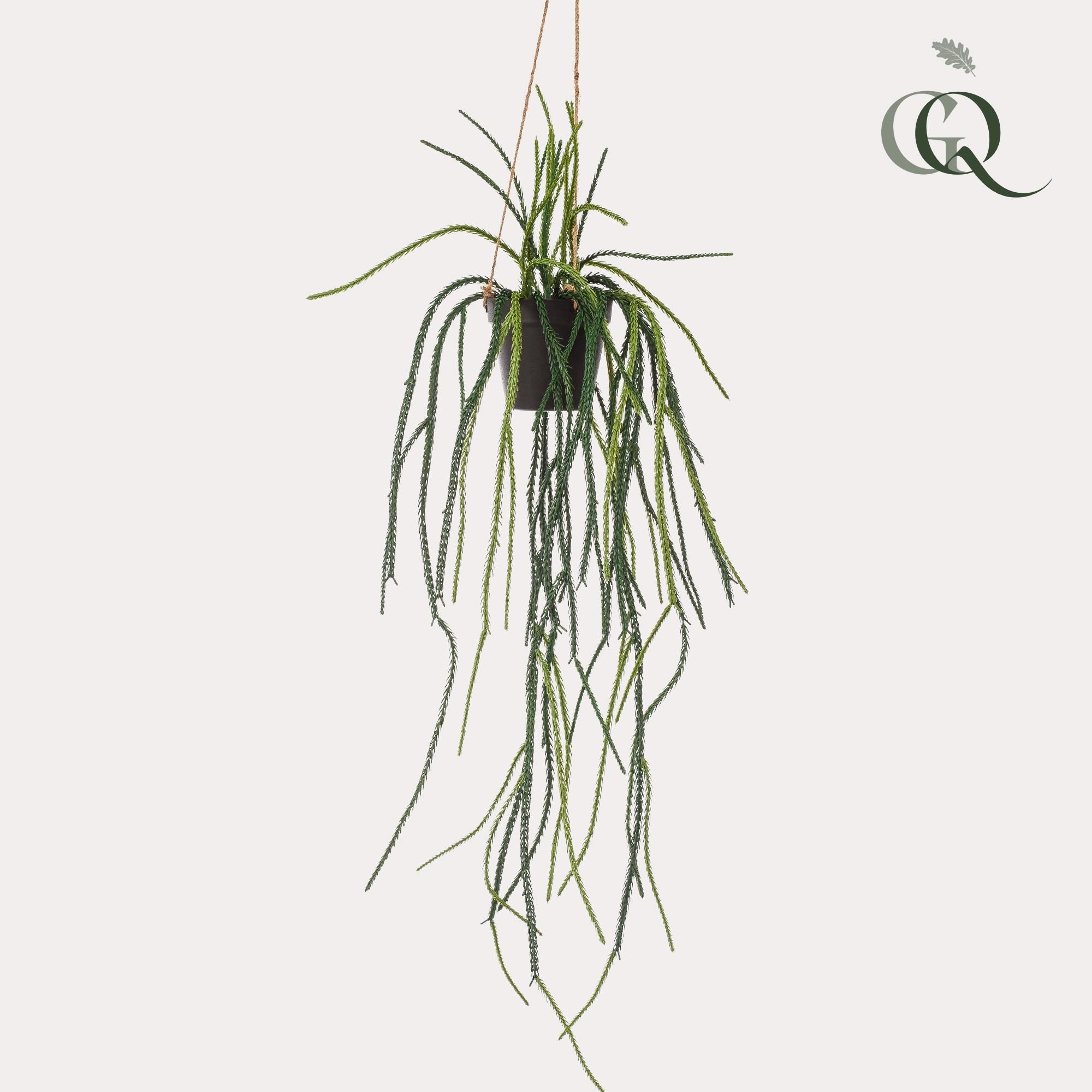 Künstlicher Korallenkaktus Rhipsalis Kunstpflanze
