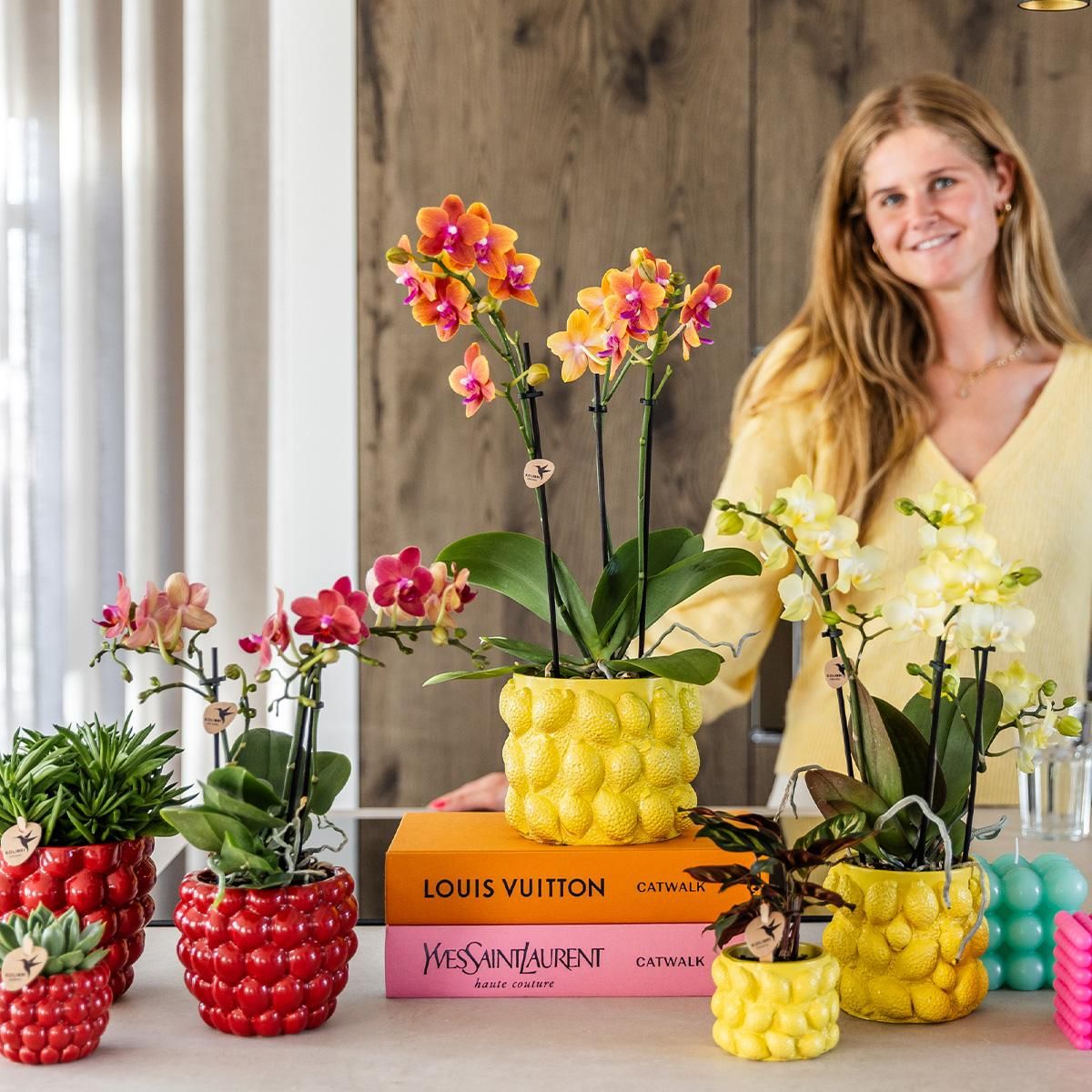 Phalaenopsis Orchidee Gelb im Citrus Ziertopf