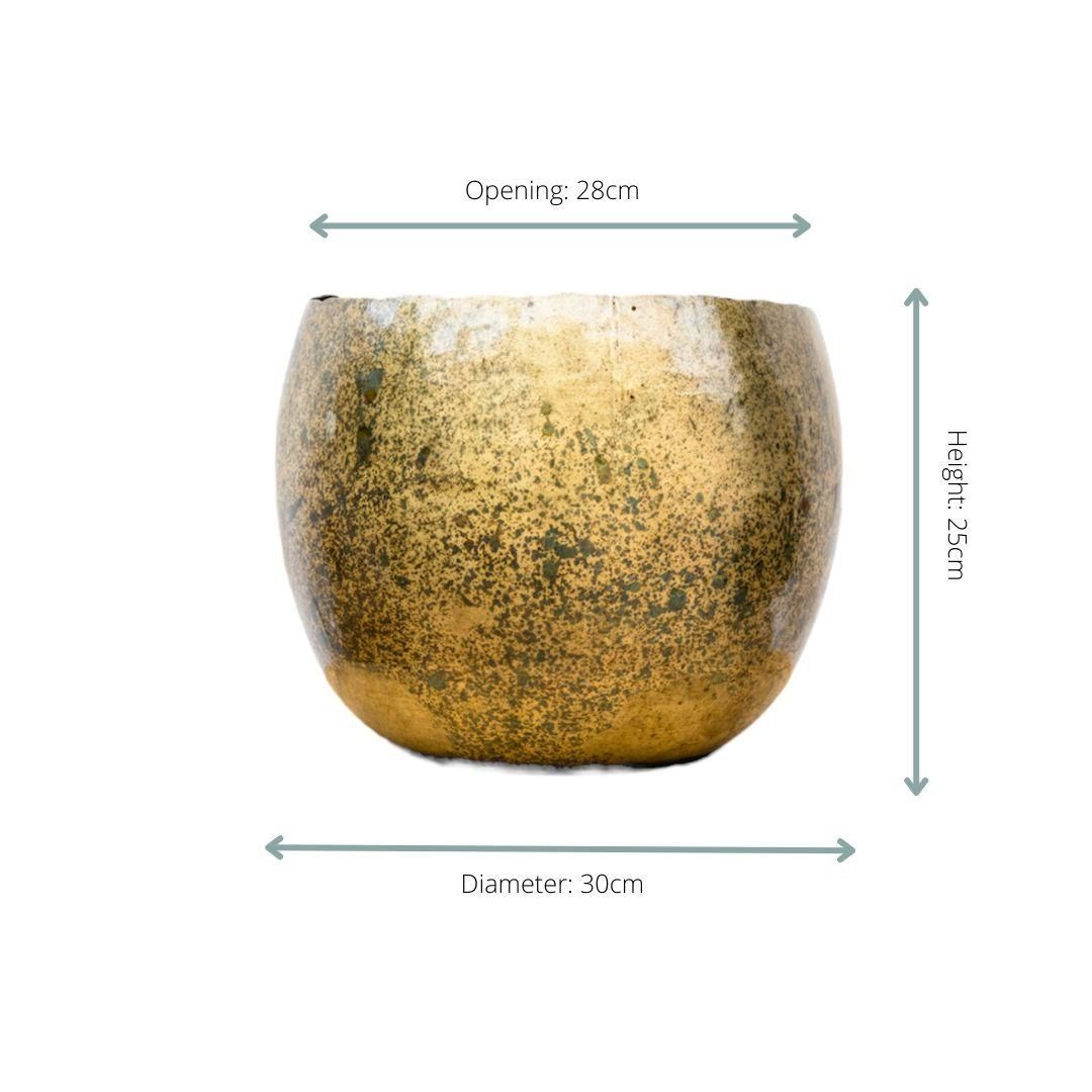 Ellen Brass Pflanze elegant mit Messingoptik