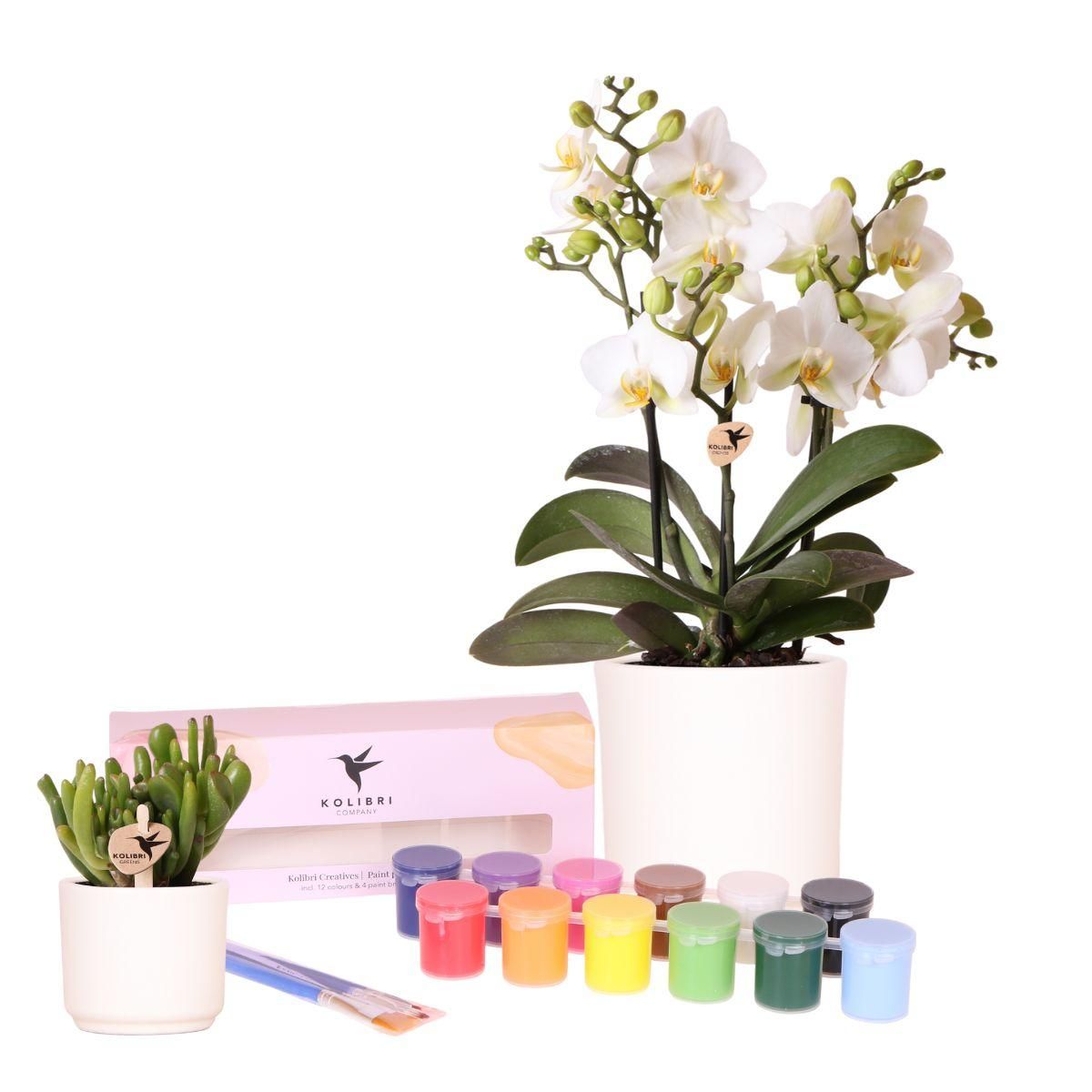 Blumentöpfe Bemal-Set für kreative DIY Projekte