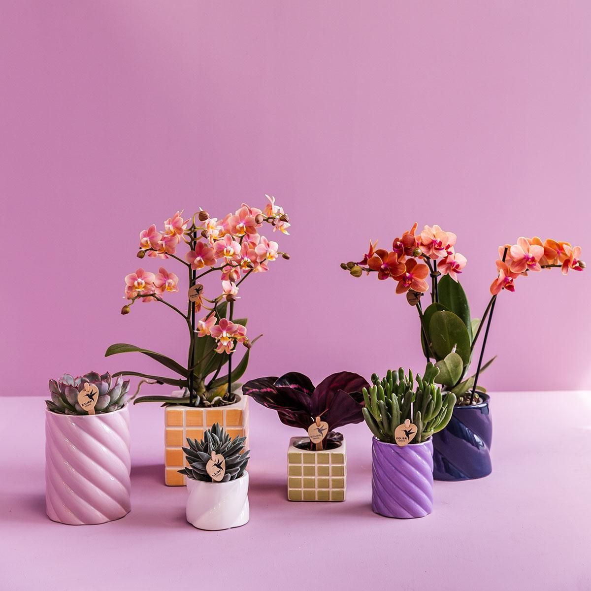 Candy Dekotopf Keramik Lilac