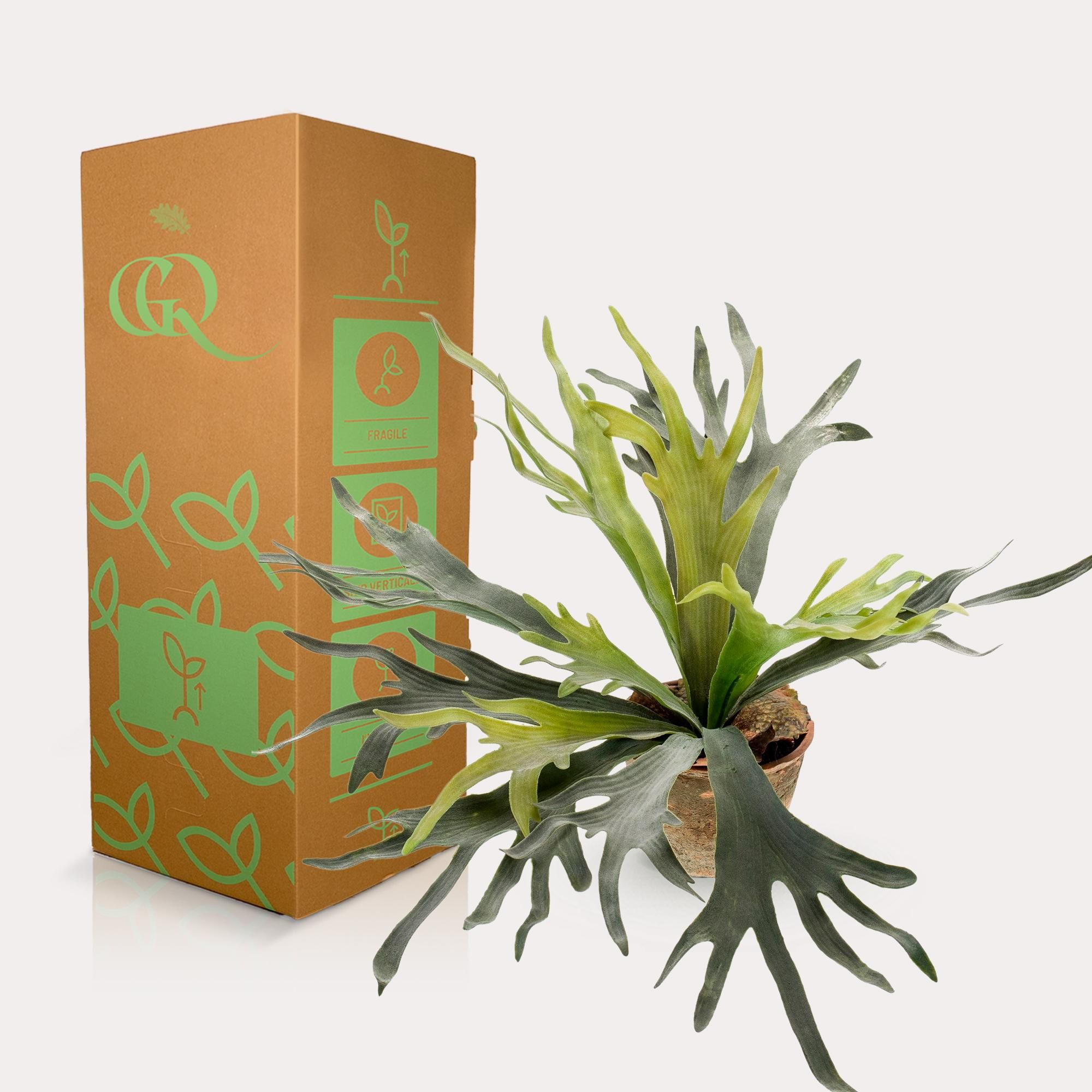Kunstpflanze Staghorn Farn Geweihfarn