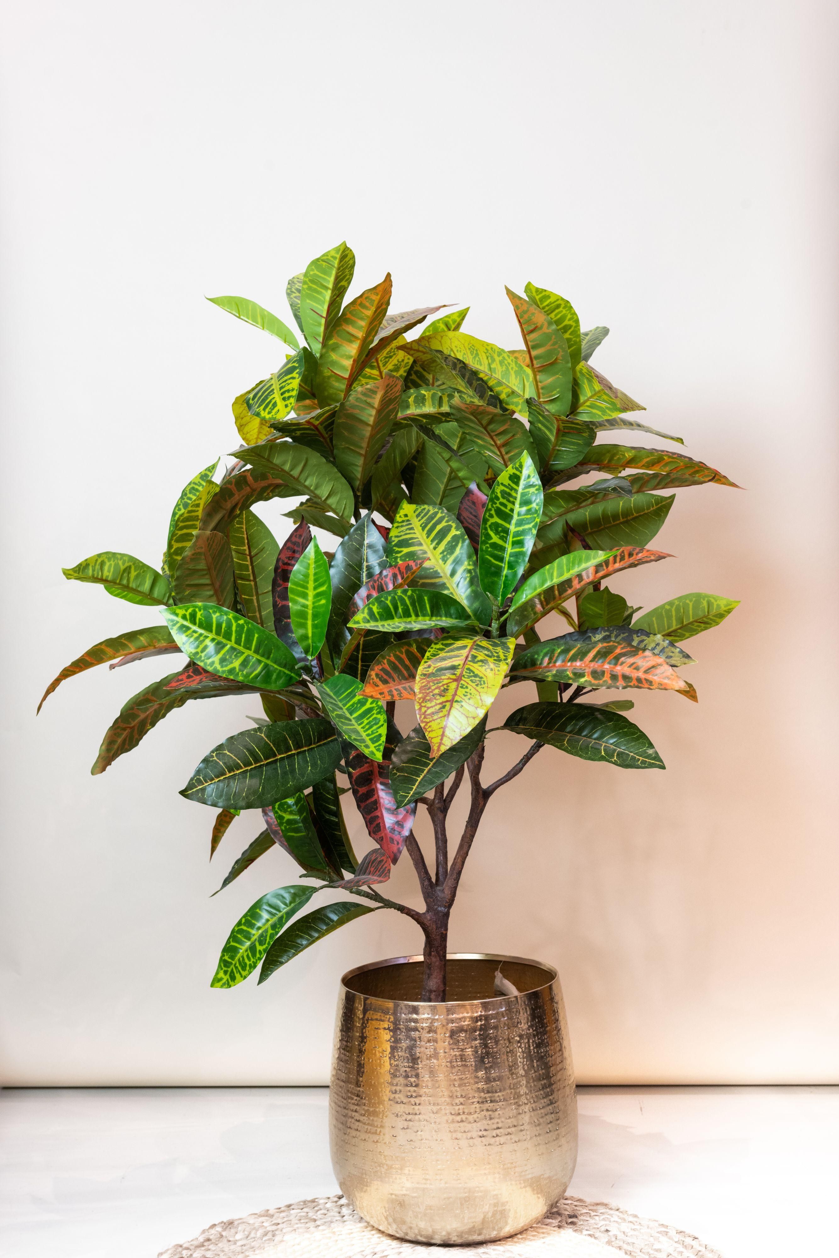 Kunstpflanze Croton Codiaeum mit bunten Blättern