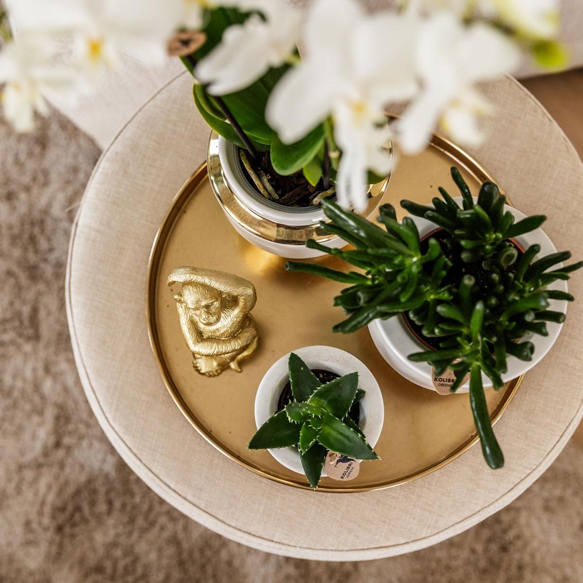 Le Chic weißer Keramik Blumentopf mit goldenen Details