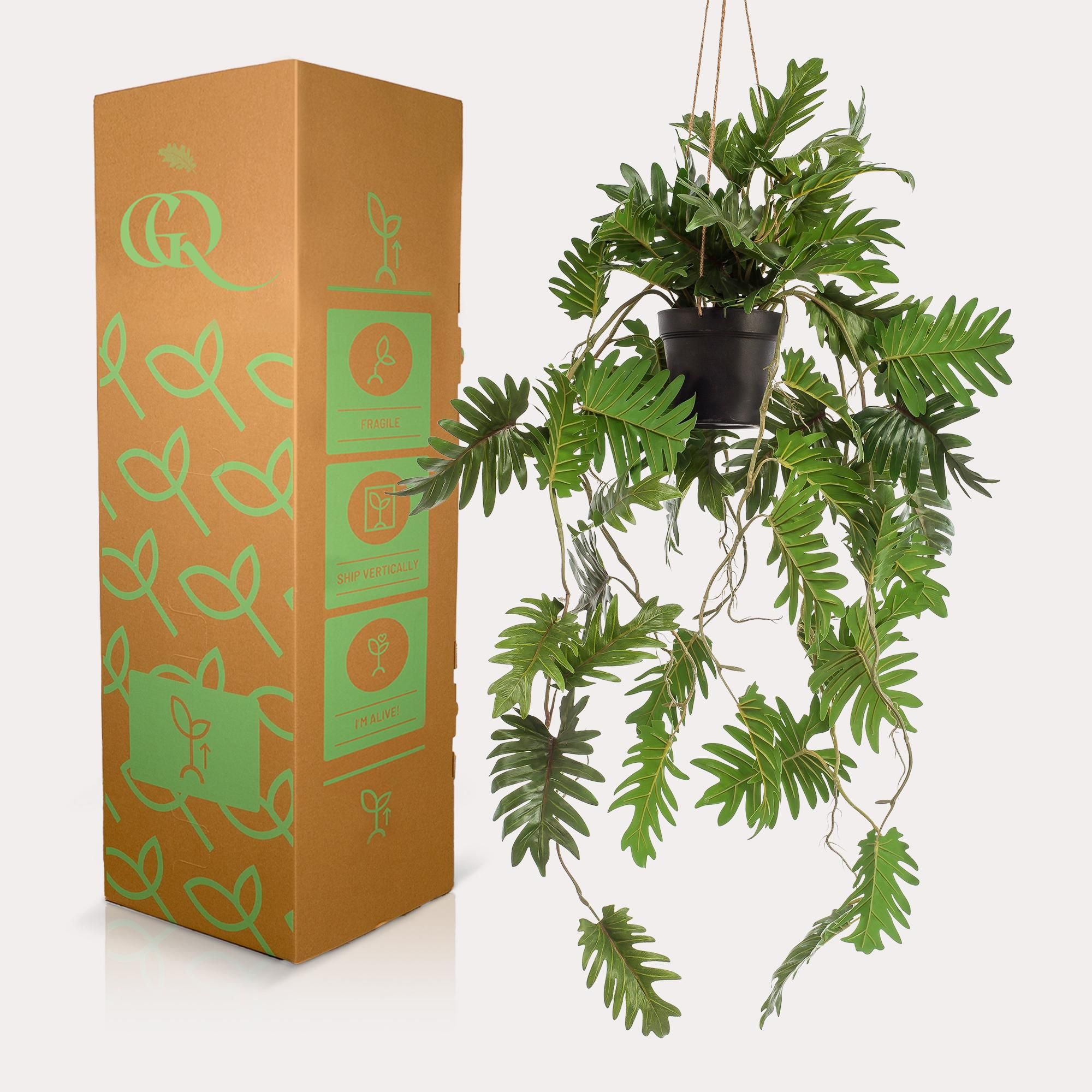 Künstliche Philodendron Hängepflanze