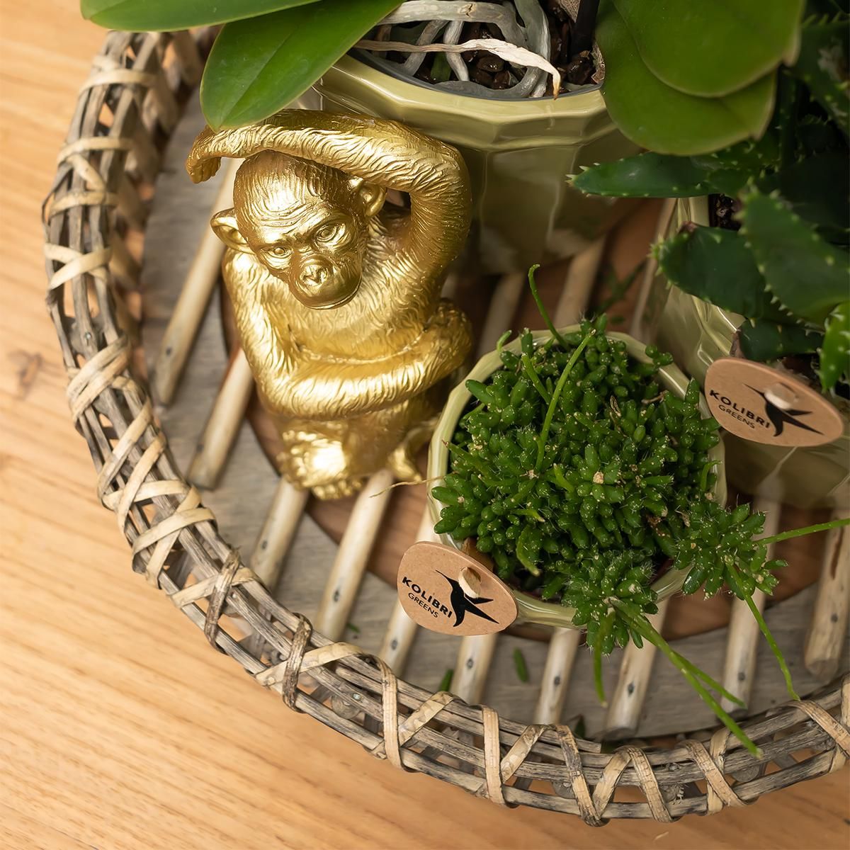 Dekofigur Sitzender Affe Gold aus Polystone