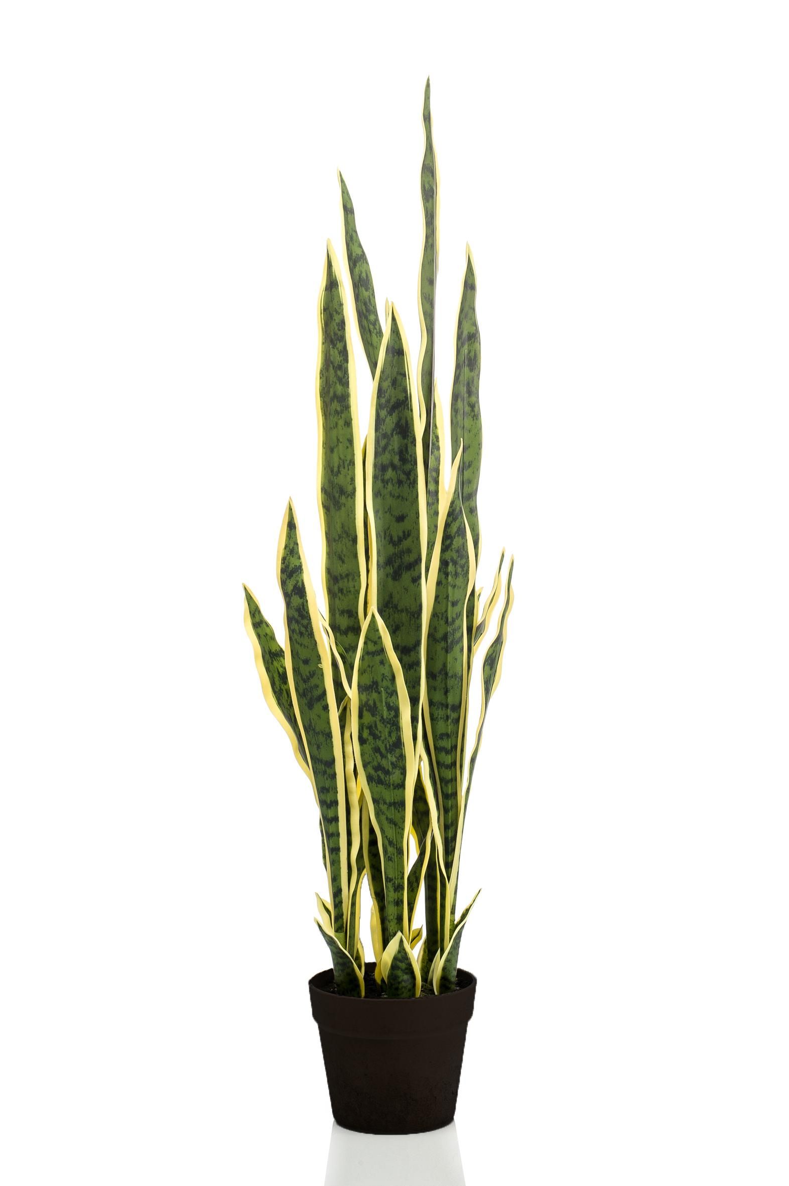 Kunstpflanze Sanseveria Trifasciata Frauenzunge