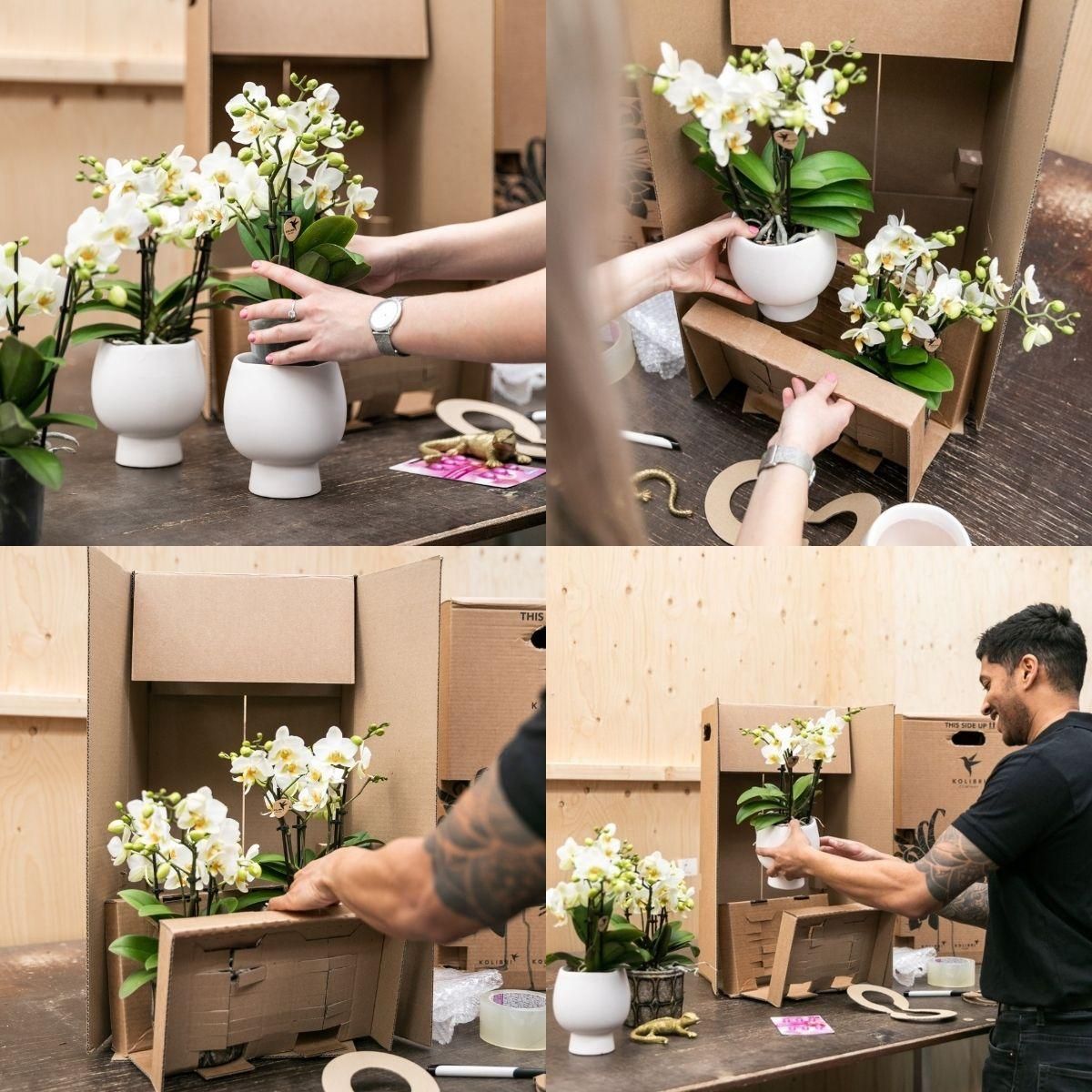 Le Chic Keramik Blumentopf mit silbernen Details