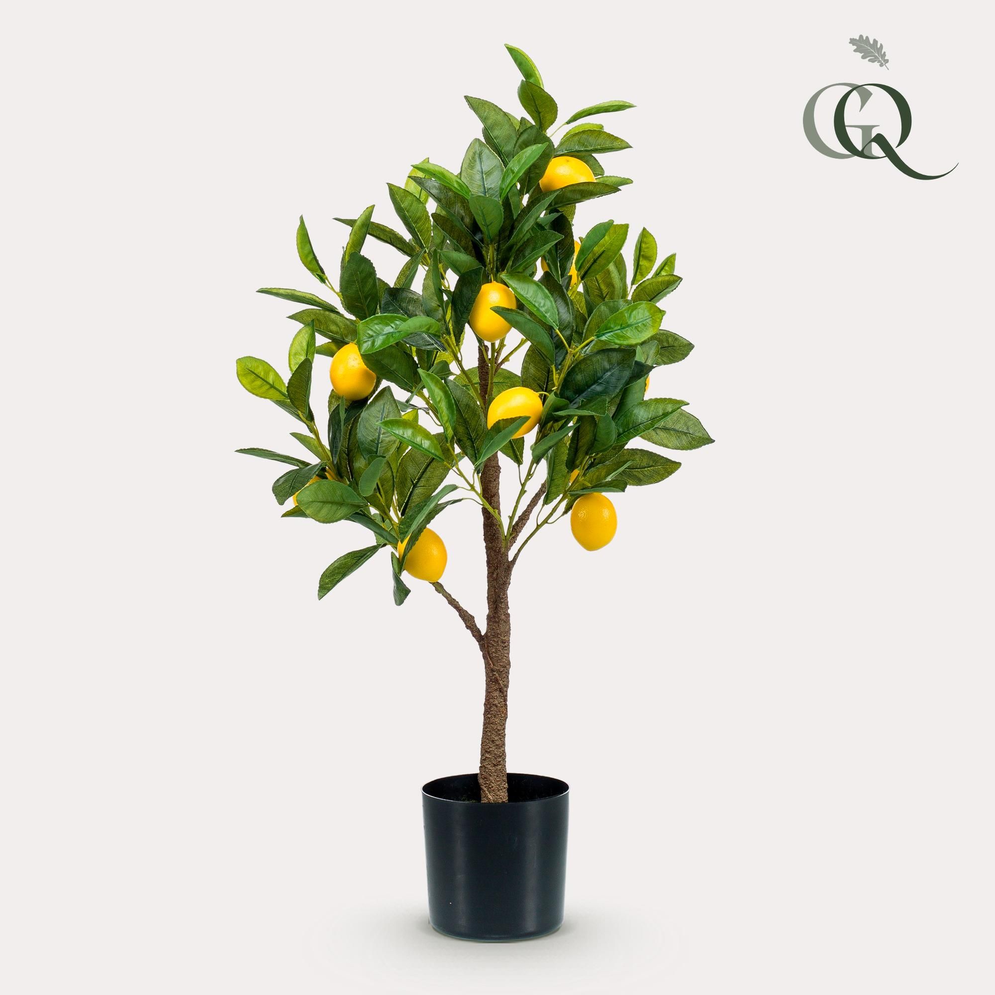Kunst Zitronenbaum Citrus Limonia