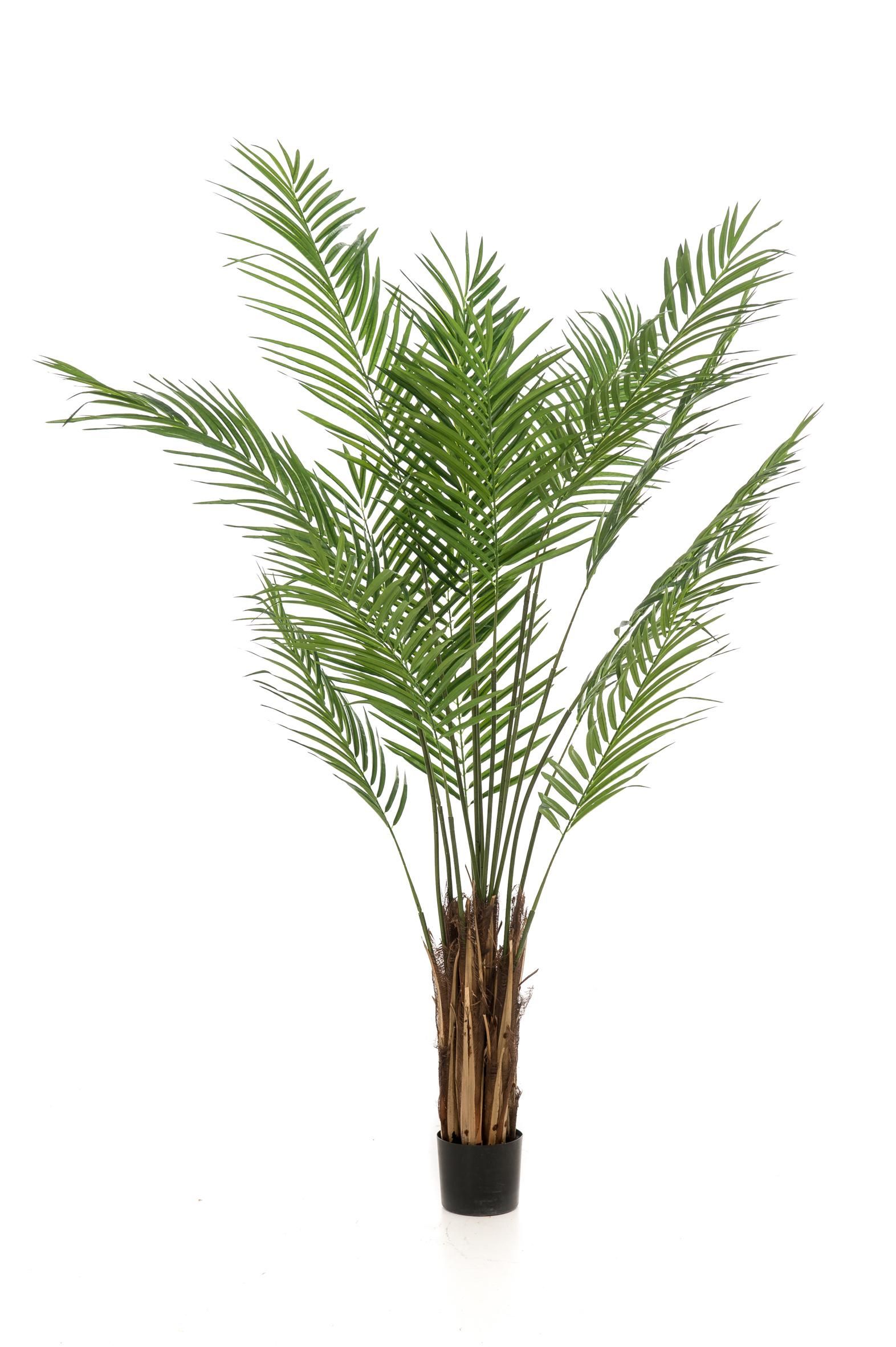 Kunst-Goldpalme Areca Lutescens 180 cm