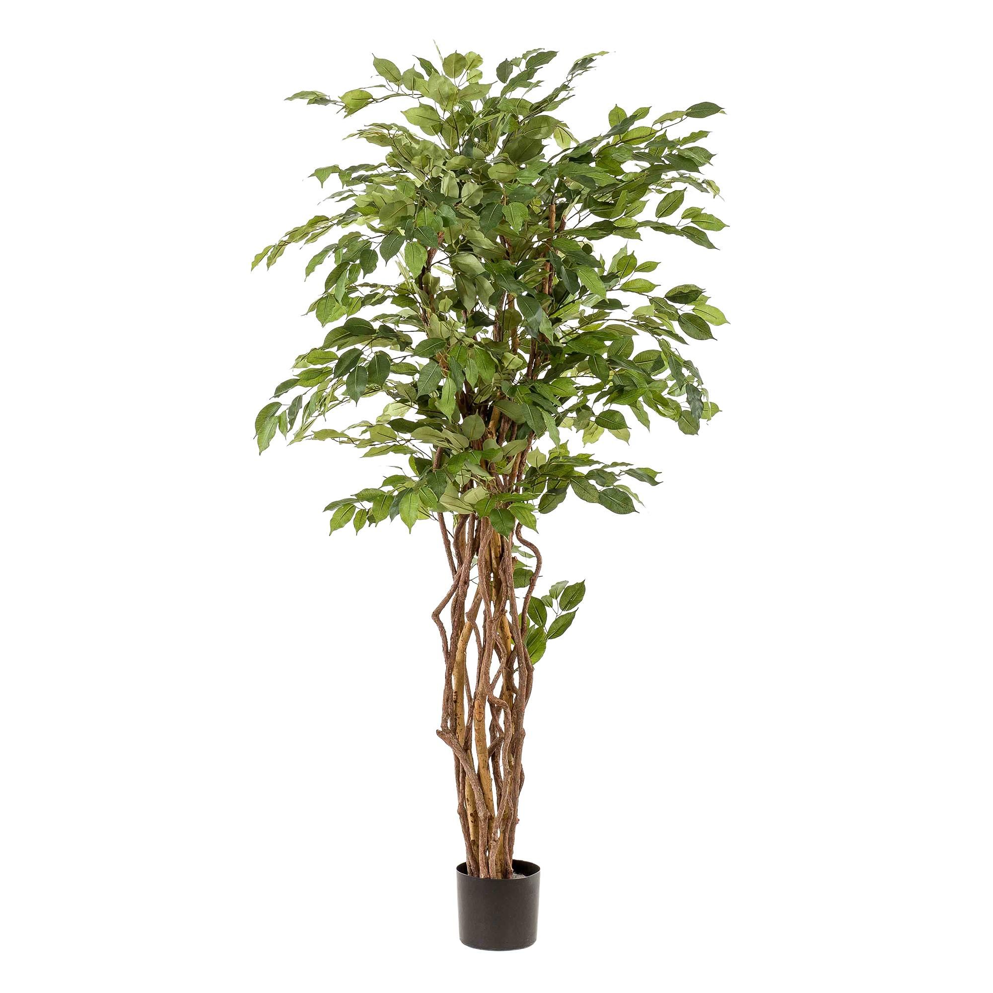 Kunstpflanze Ficus Liana – Kunstblume – 170cm