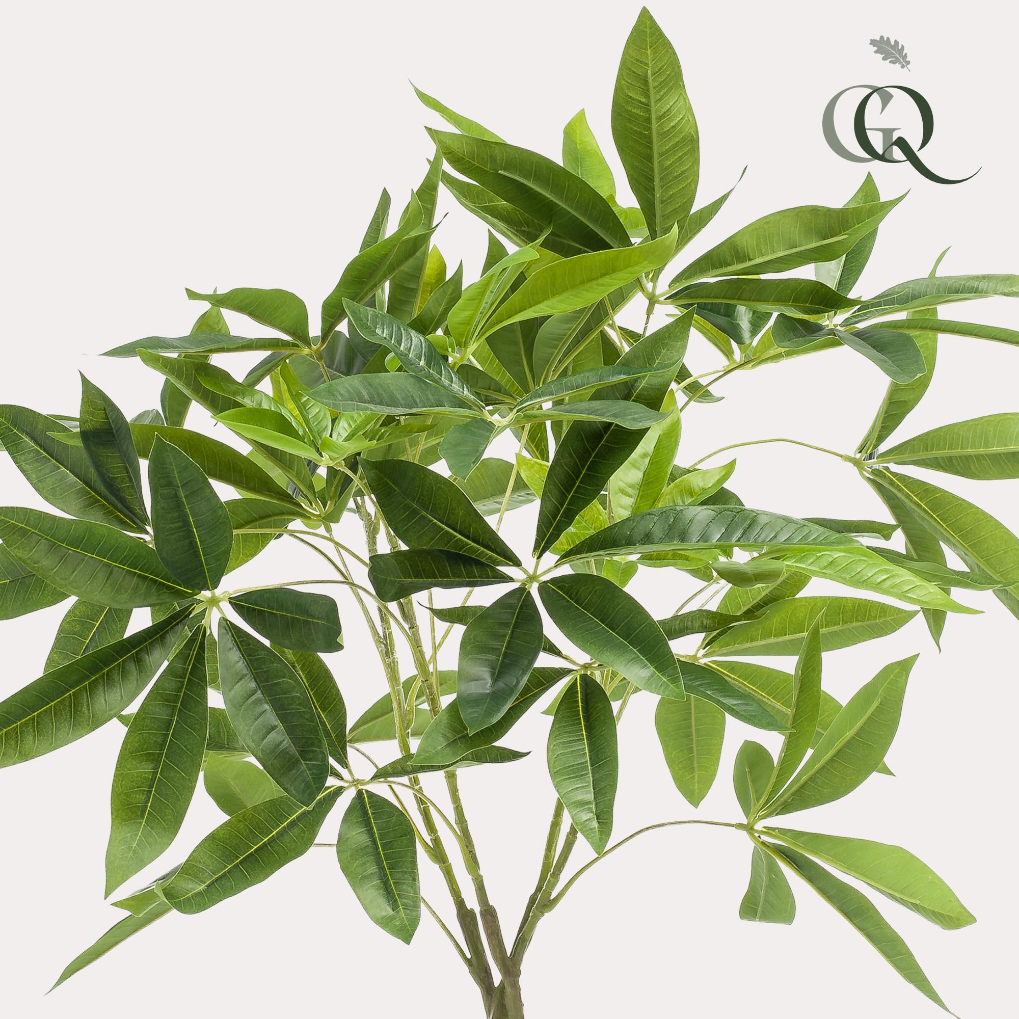 Kunstpflanze Pachira Aquatica – Geldbaum – 90cm Hoch – Täuschend Echt