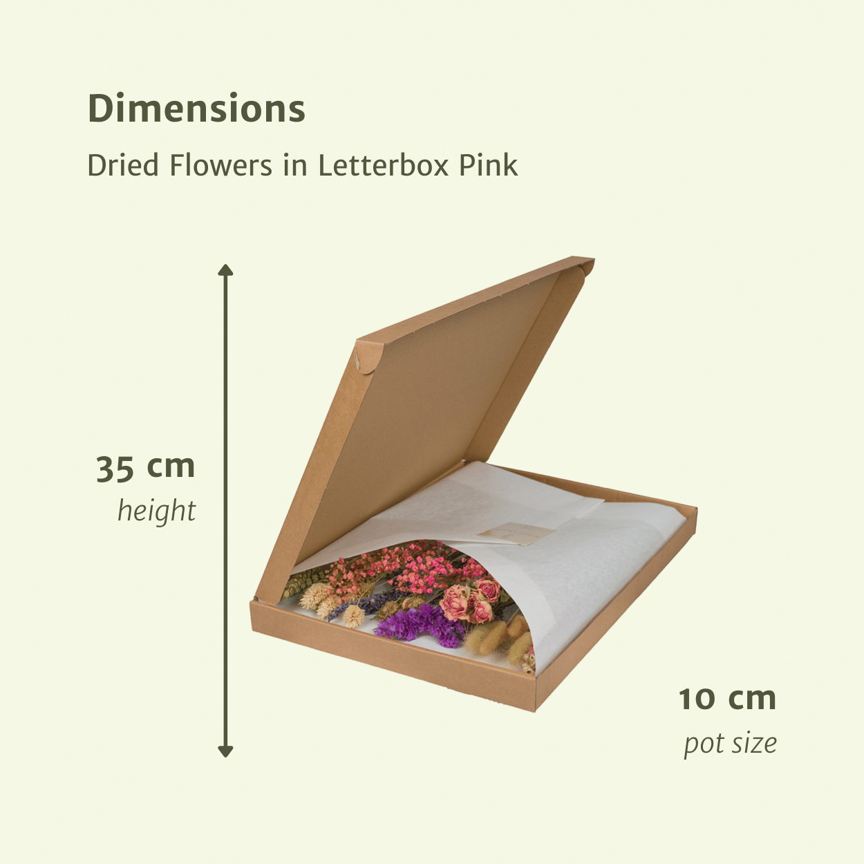 Elegante Trockenblumen im Briefkasten Pink