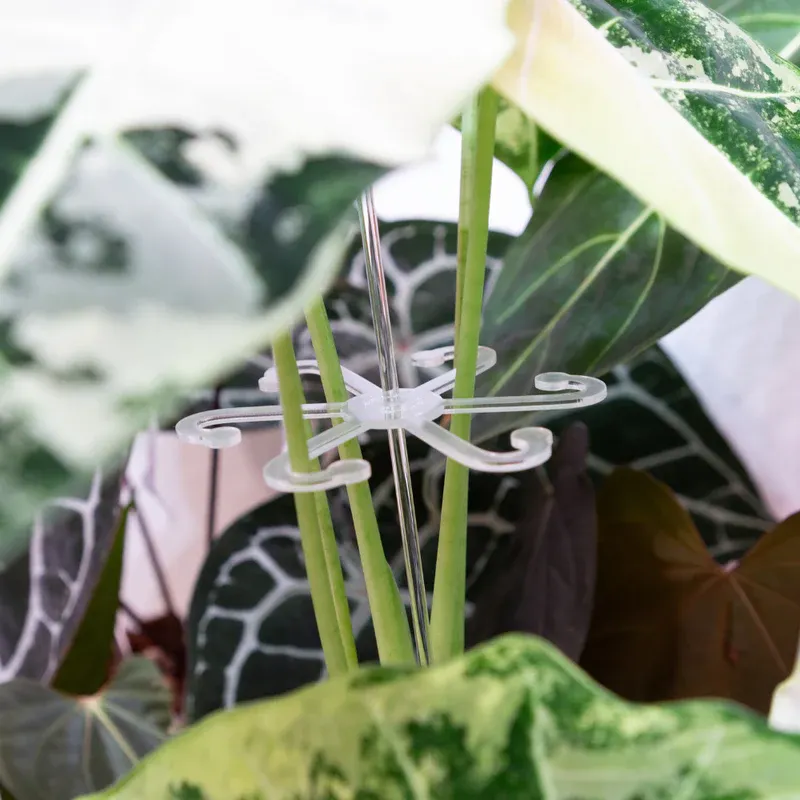 Stem support hook for leaves