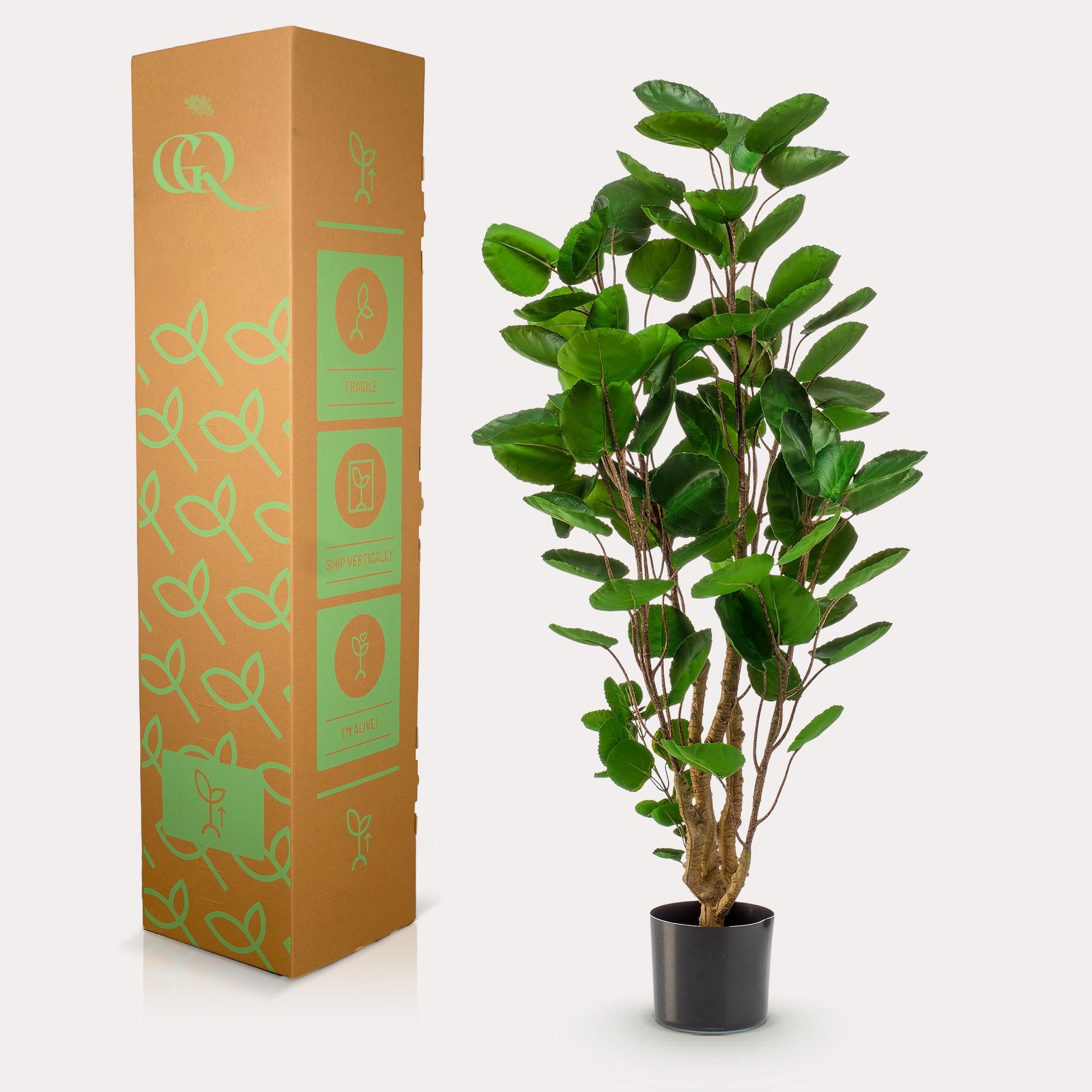 Kunstpflanze Polyscias Aralia 105 cm