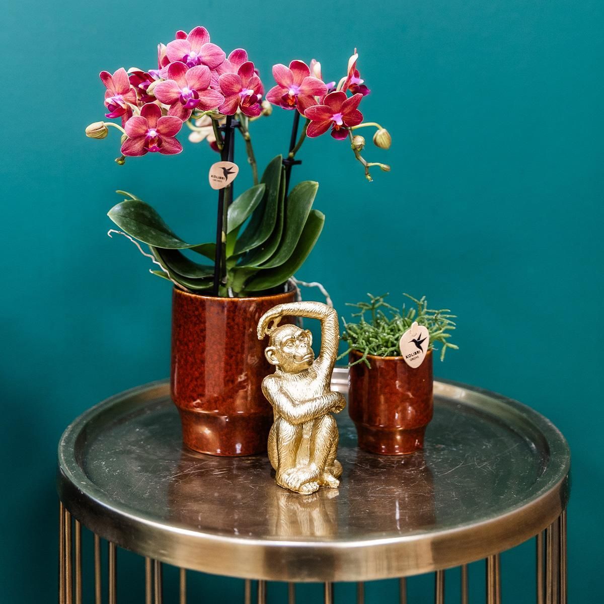 Keramik Deko Blumentopf Classy Braun