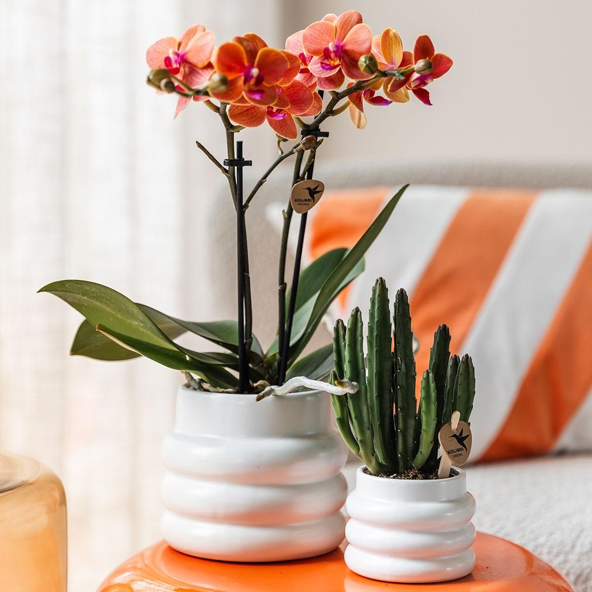 Keramik Blumentopf Bubble Weiß
