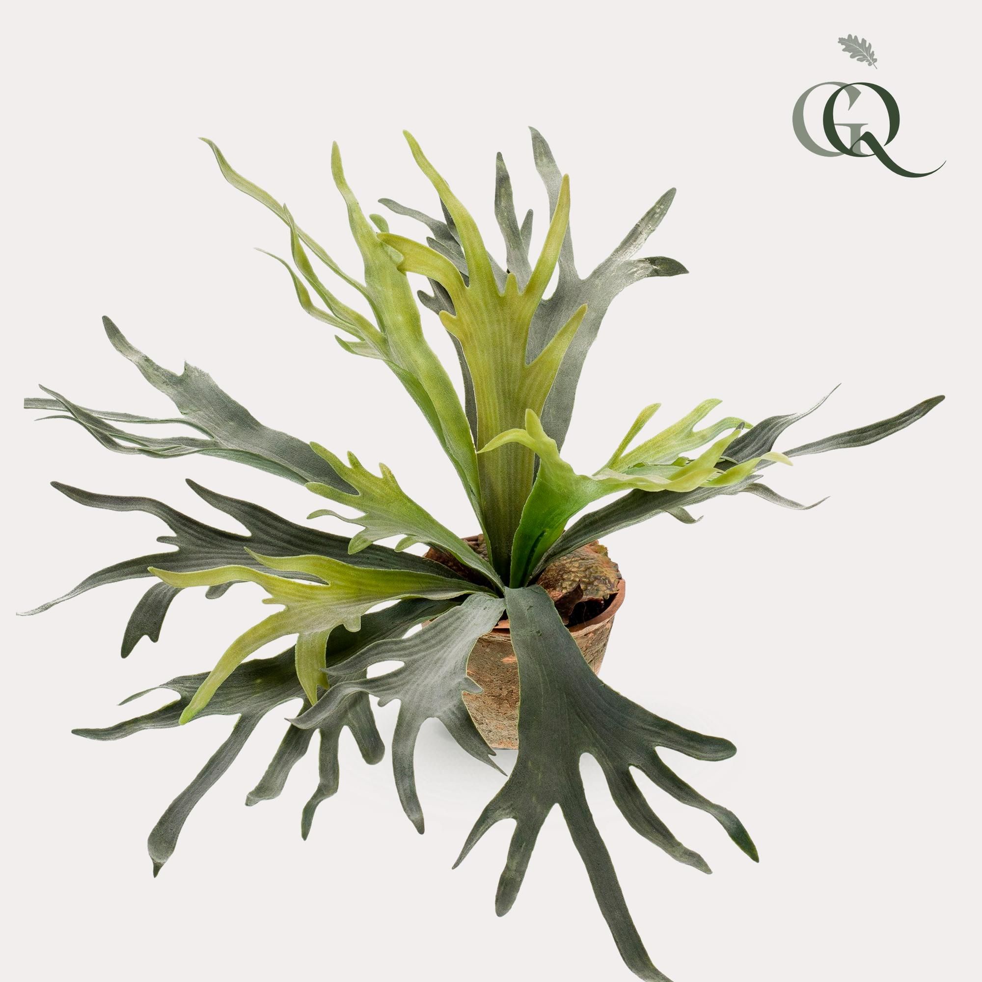 Kunstpflanze Staghorn Farn Geweihfarn