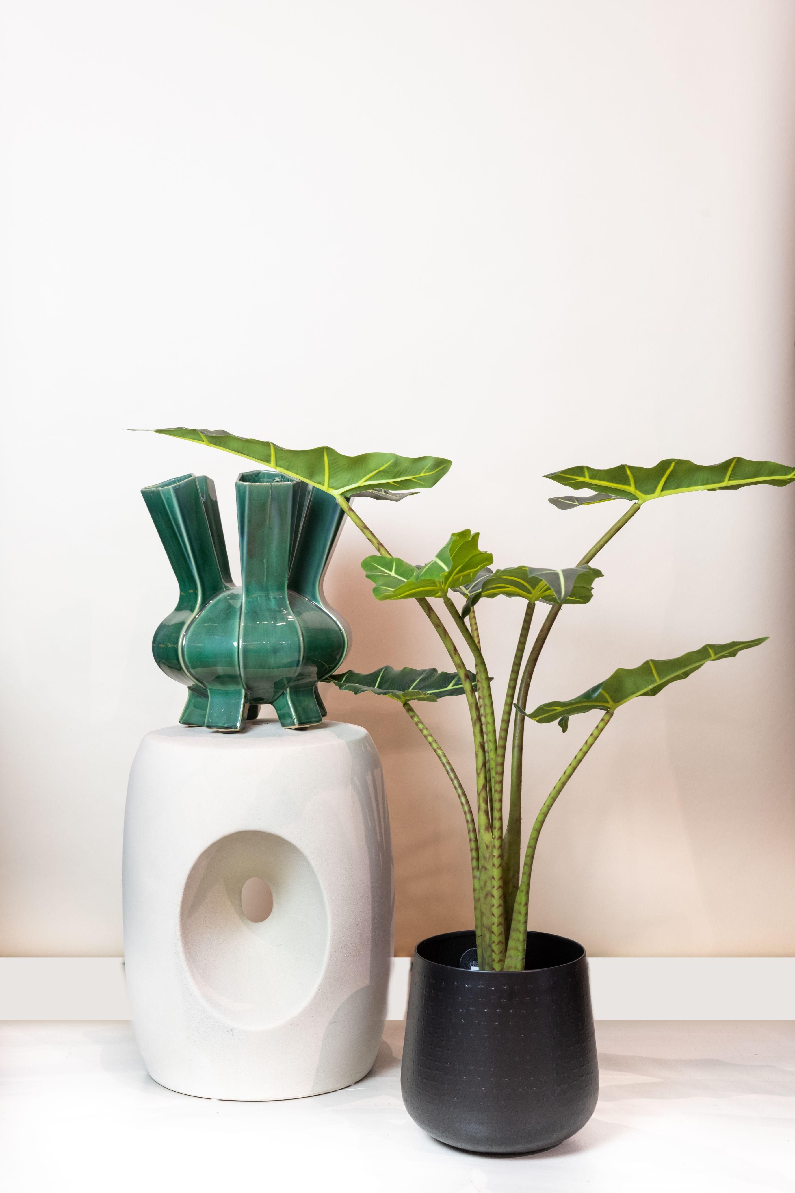 Kunstpflanze Alocasia Frydek 80 cm