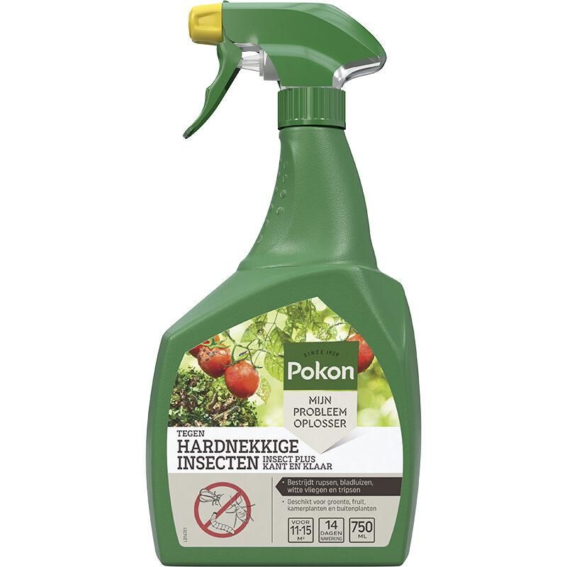 Hartnäckiger Insektenspray für Zimmer- und Gartenpflanzen