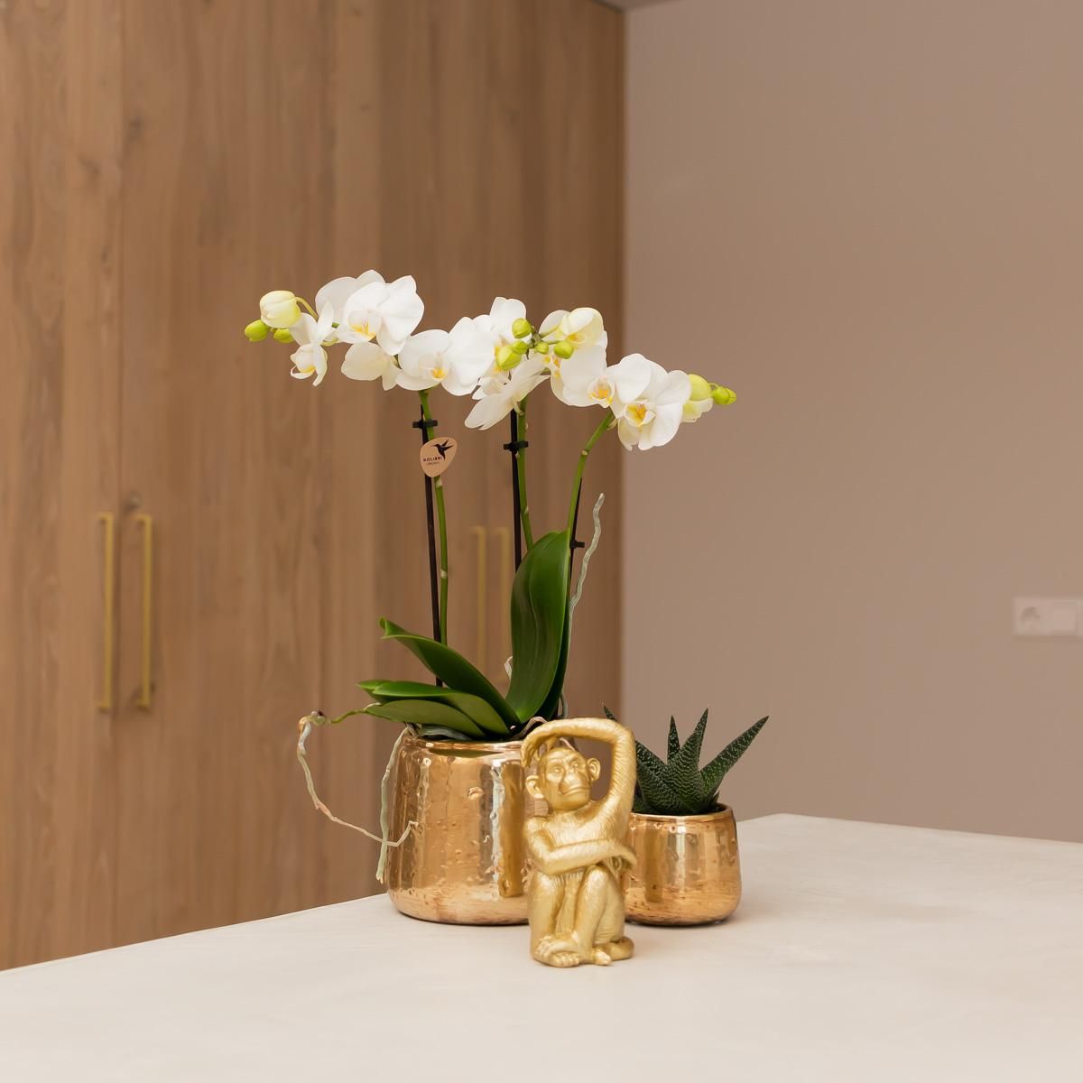 Dekofigur Sitzender Affe Gold aus Polystone