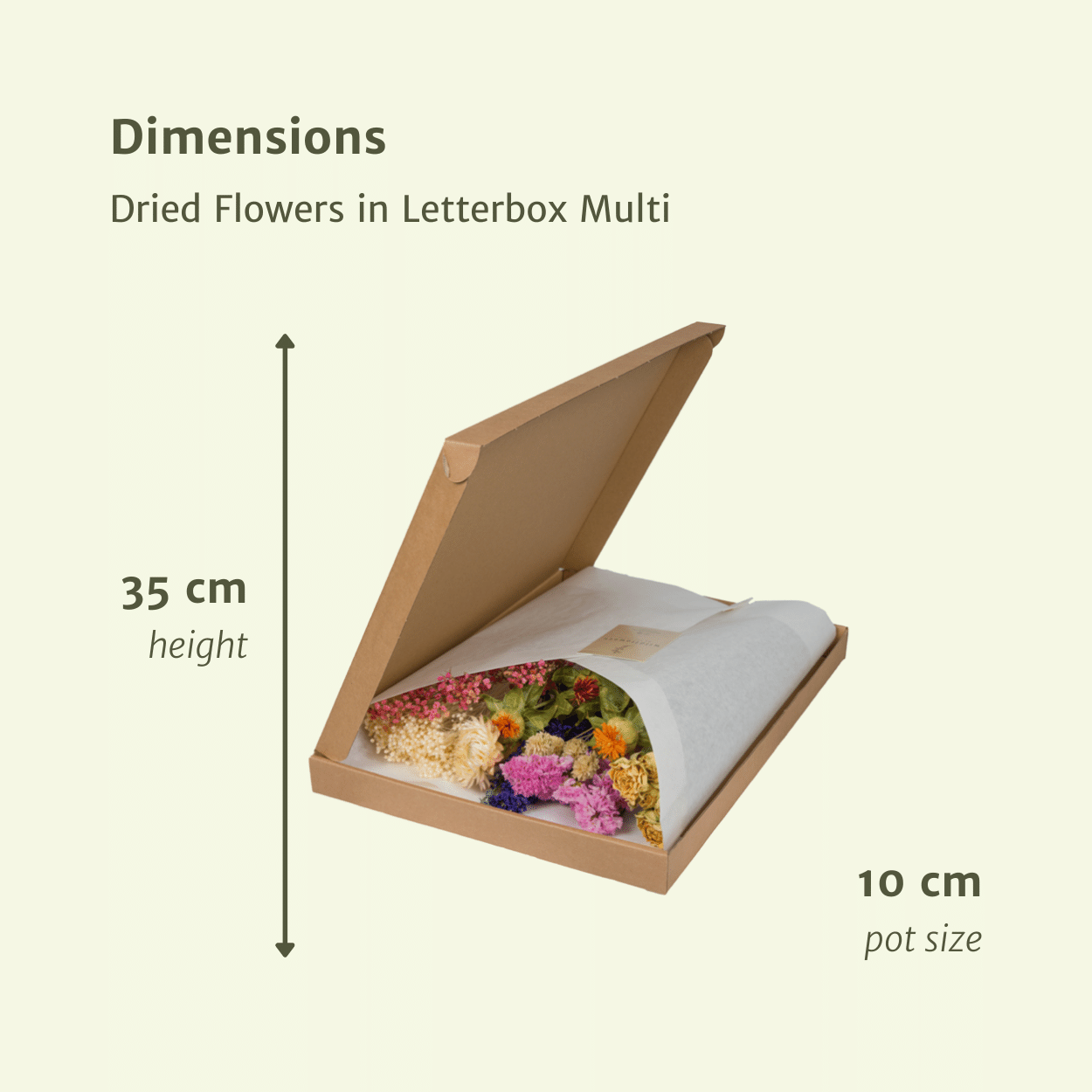 Trockenblumen Letterbox Mix