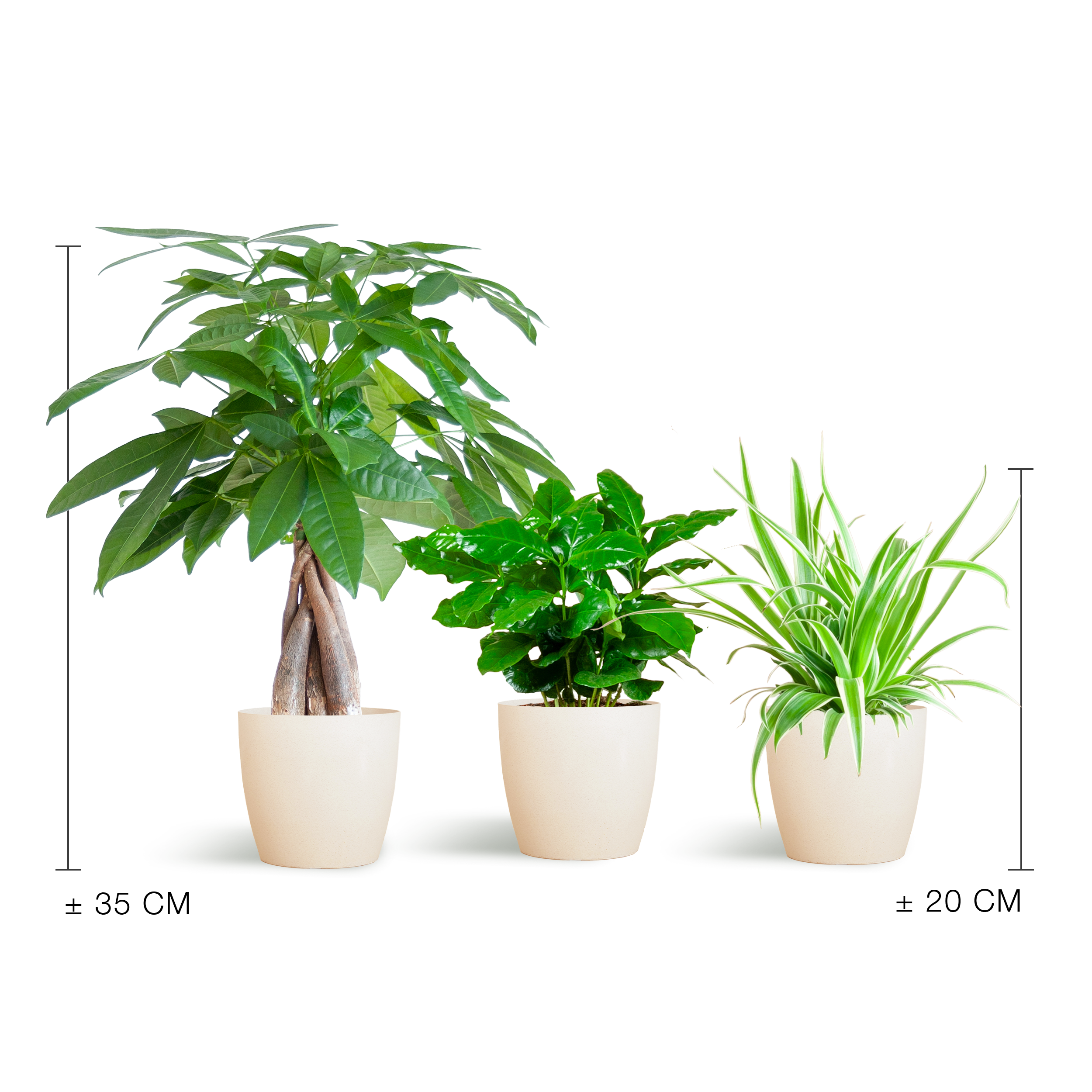 Tierfreundliche Pflanzenbox Klein – mit Topf Vibor White – Ø 12 cm